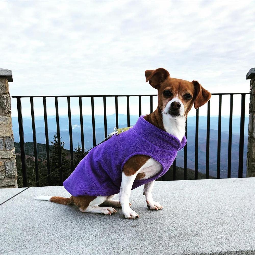 Gooby Fleece Vest Dog Sweater - Lavender, Small - Warm Pullover Fleece Dog Jacket With O-Ring Leash - Winter Small Dog Sweater C