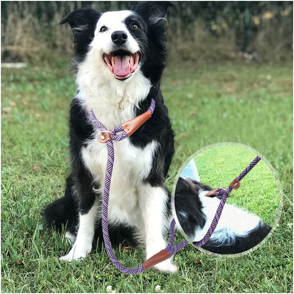 Sepxufore 3 Ft Slip Lead Dog Leash, 1/2 Inch Rope Dog Walking And Training Lead, No Pull Strong Nylon Leash Great For Medium And Large (Purple)