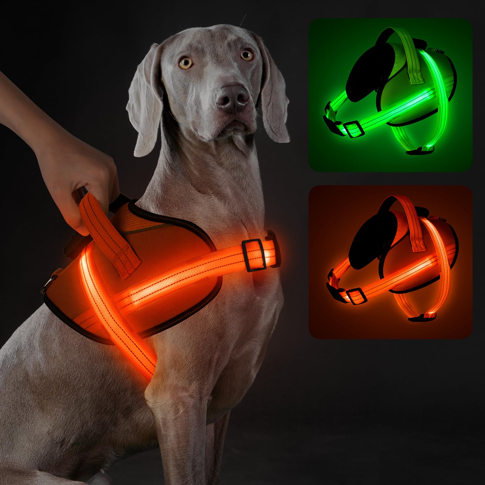 Light Up Dog Harness, No-Pull Led Dog Harness Rechargeable, Reflective Glow In The Dark Dog Vest Harness, Adjustable & Comfort P