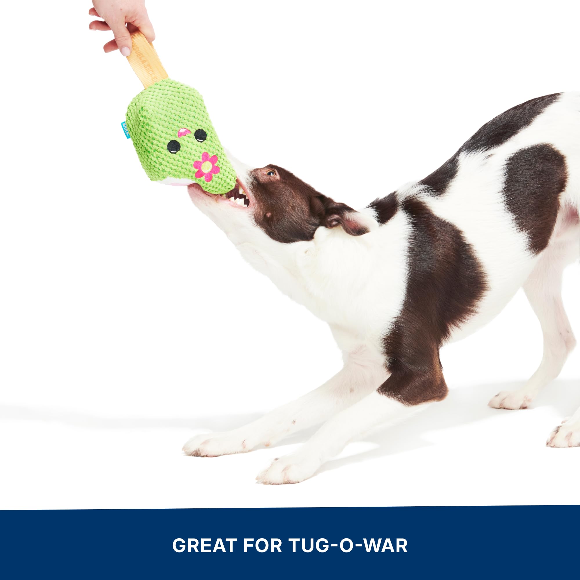 Barkbox BARK Consuela The Cactus Pop - 2-in-1 Summer Plush Dog Toy with Squeaker & Crinkle Layers - Interactive Ice-Cream-Themed