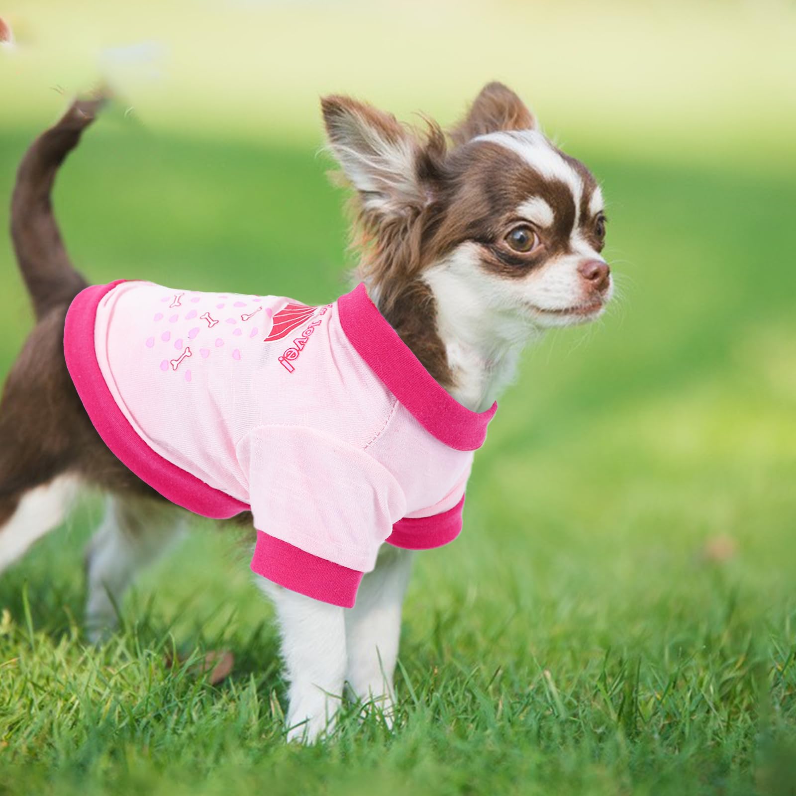 4 Pieces Dog Shirts Summer Dog Clothes Cute Soft Breathable Outfit Pet T-Shirt Puppy Clothes For Small Dogs Girl And Cat (X-Smal