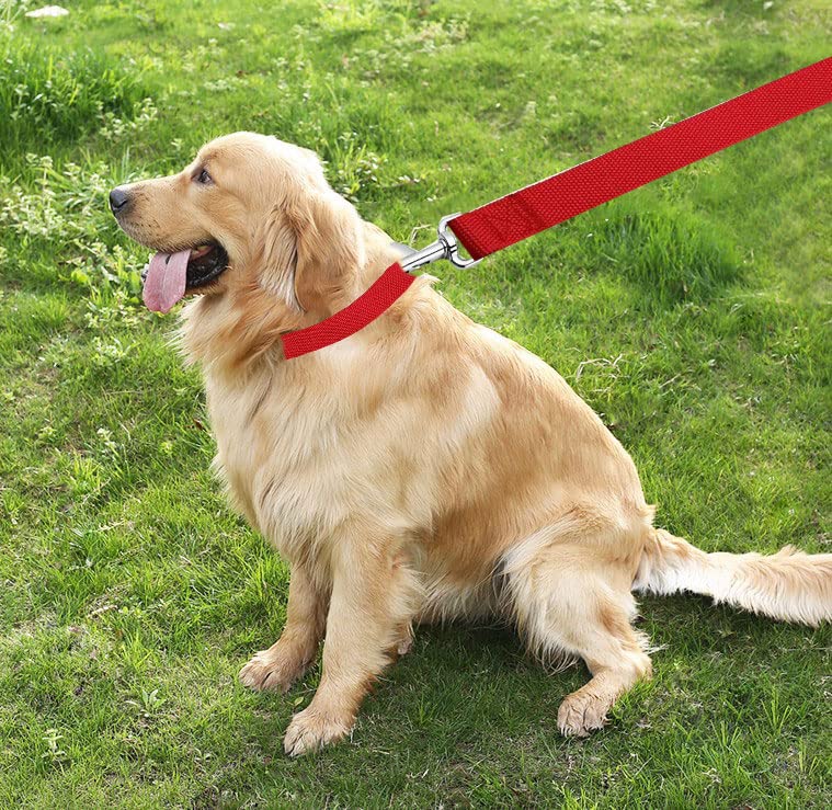 Taian 4Ft/5Ft/6Ft Strong Dog Leash, Nylon Dog Leashes For Small Medium Large Dogs (1 In X 5 Ft, Red)