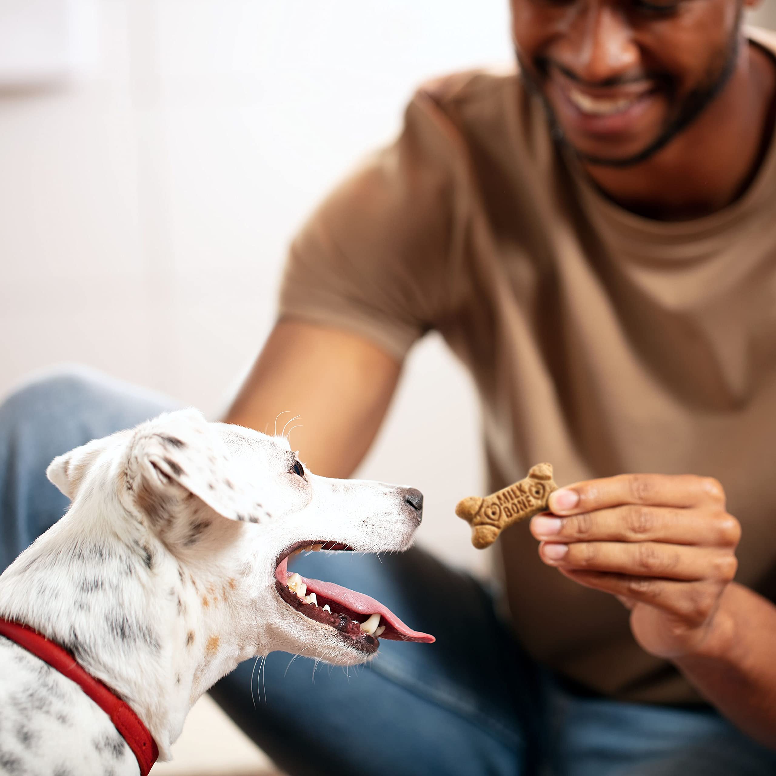 Milk-Bone Minis Flavor Snacks Dog Treats, 15 Ounce (Pack of 6) Crunchy Texture Helps Reduce Tartar