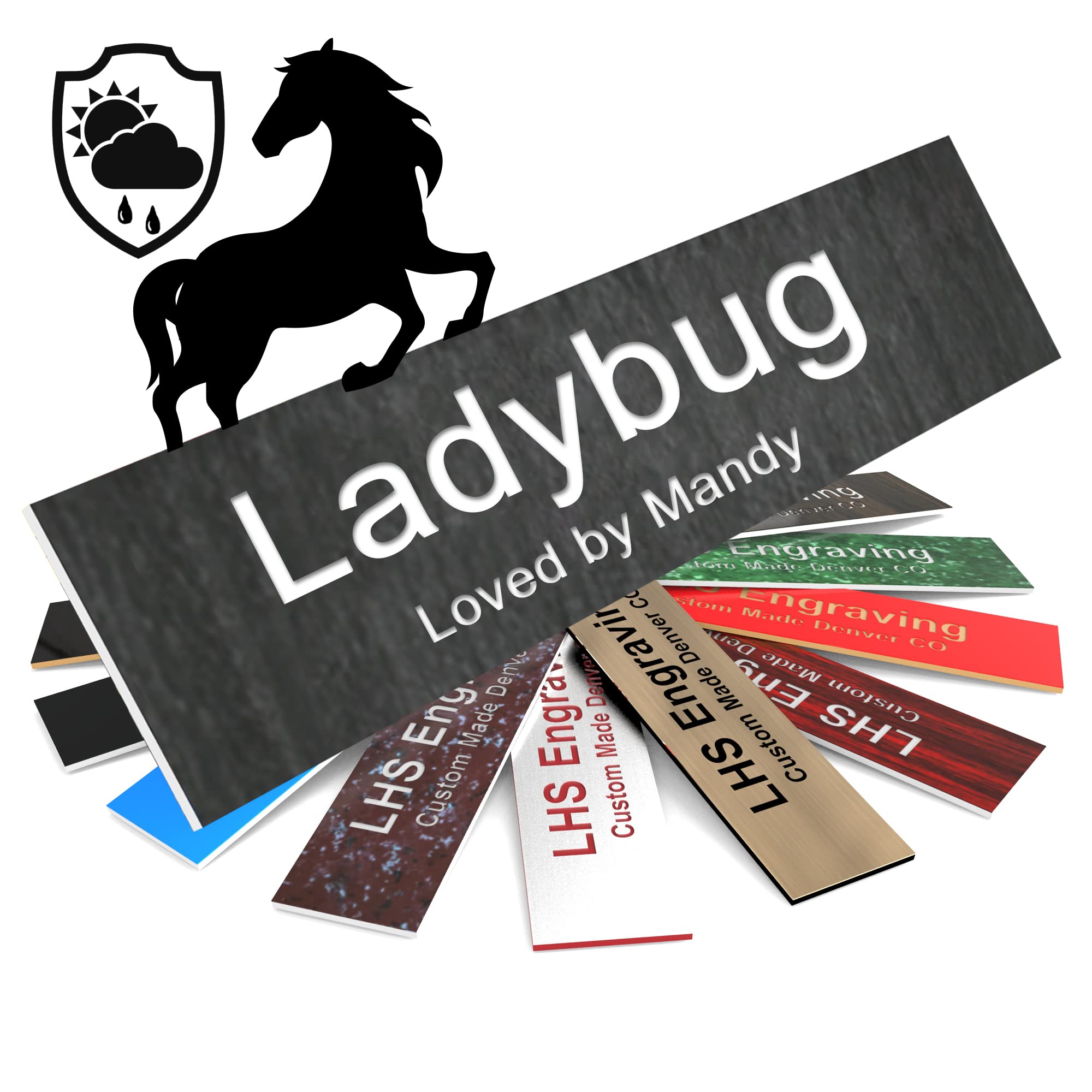 Lhs | Personalized Horse Stall Name Plates, 2X8 Horse Stall Signs With Adhesive, All Weather Uv Protected, Ash Plastic White Let