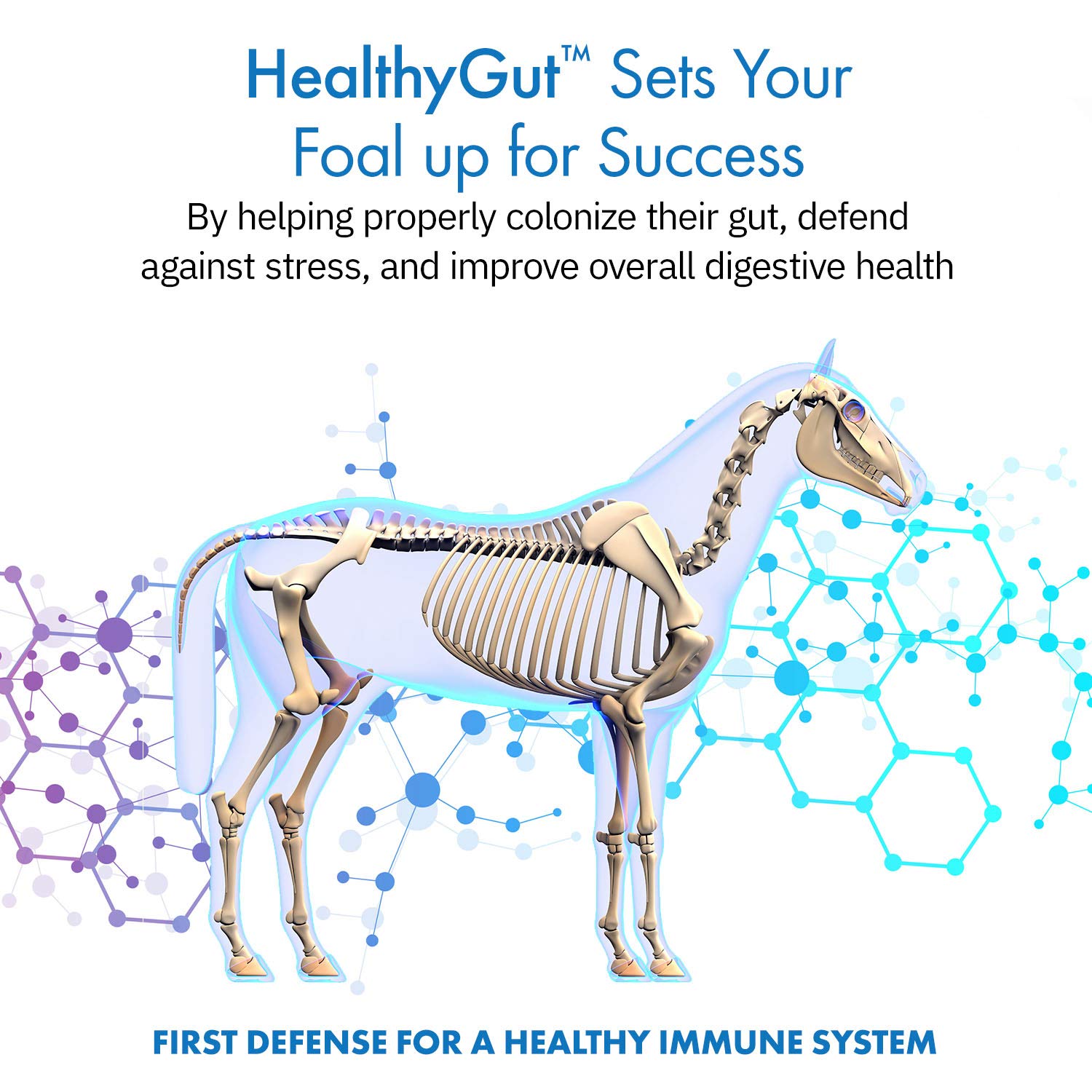 Equa Holistics HealthyGut Foal Kit for Horses Dietary Supplement, All-Natural Formula (14 g)