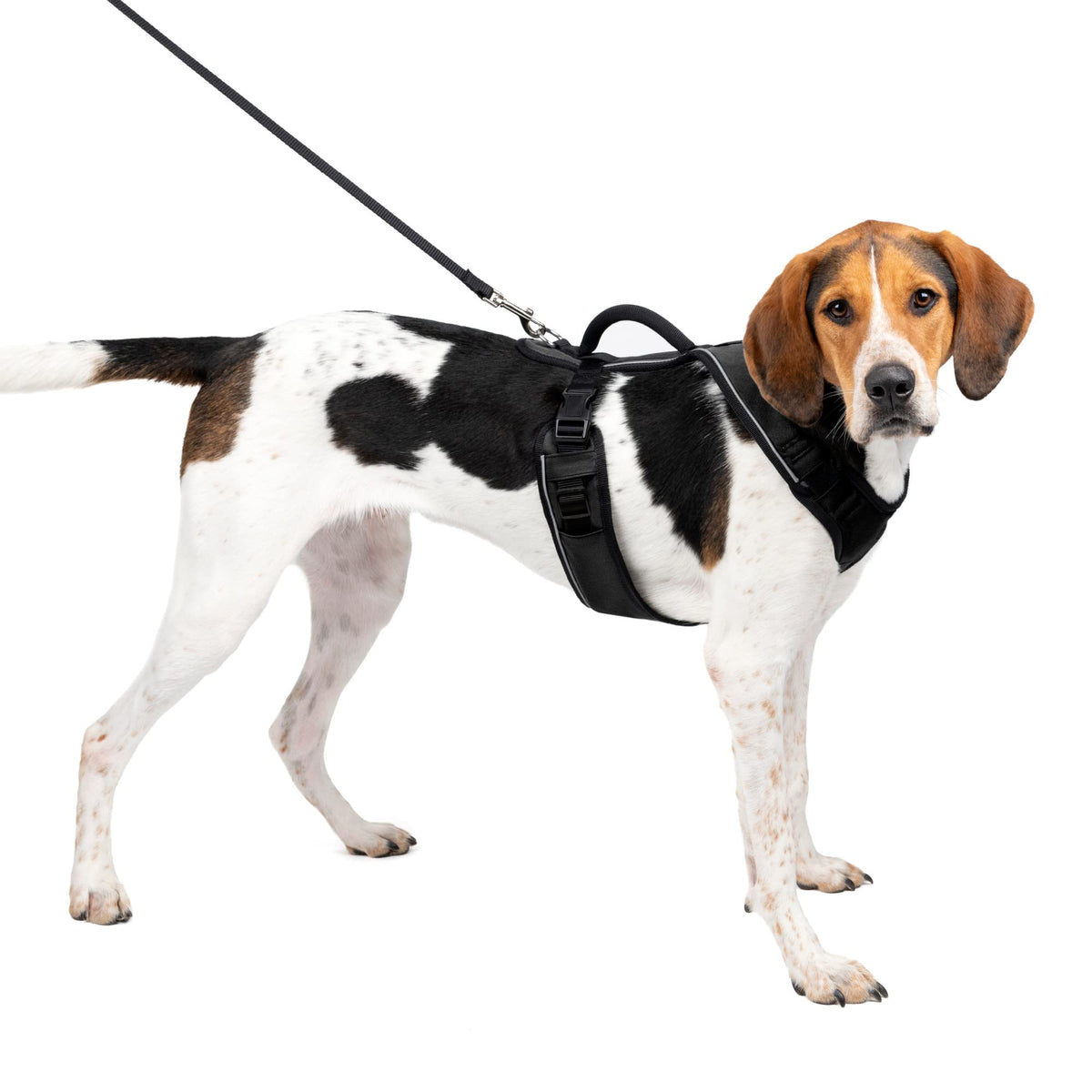 Petsafe Easysport Dog Harness – Adjustable, Padded Dog Harness With Control Handle And Reflective Piping – Large, Black