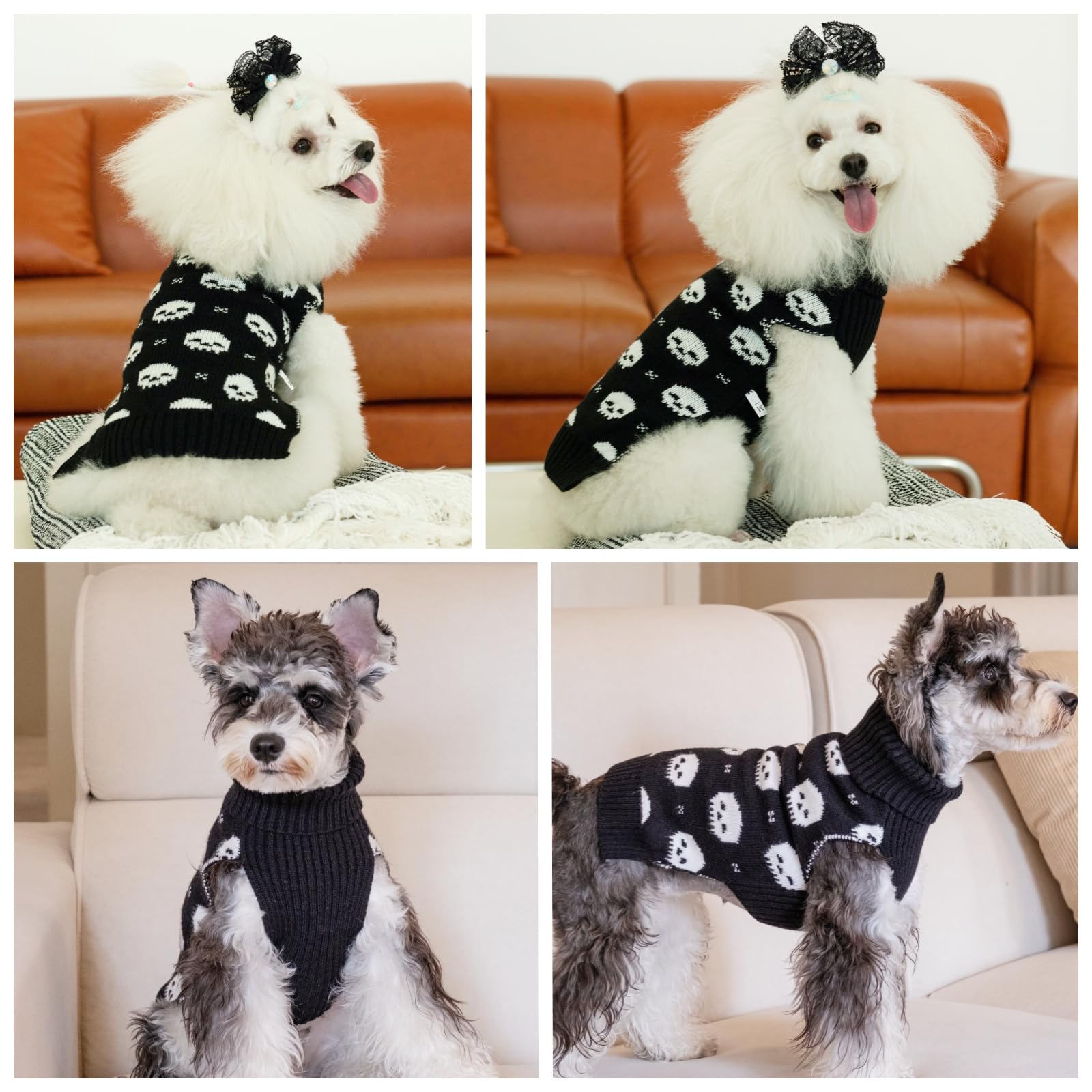 Cutebone Skull Dog Sweater For Small & Medium Dogs - Halloween Puppy Clothes With Leash Hole For Chihuahua, Yorkie & Teacup Dogs