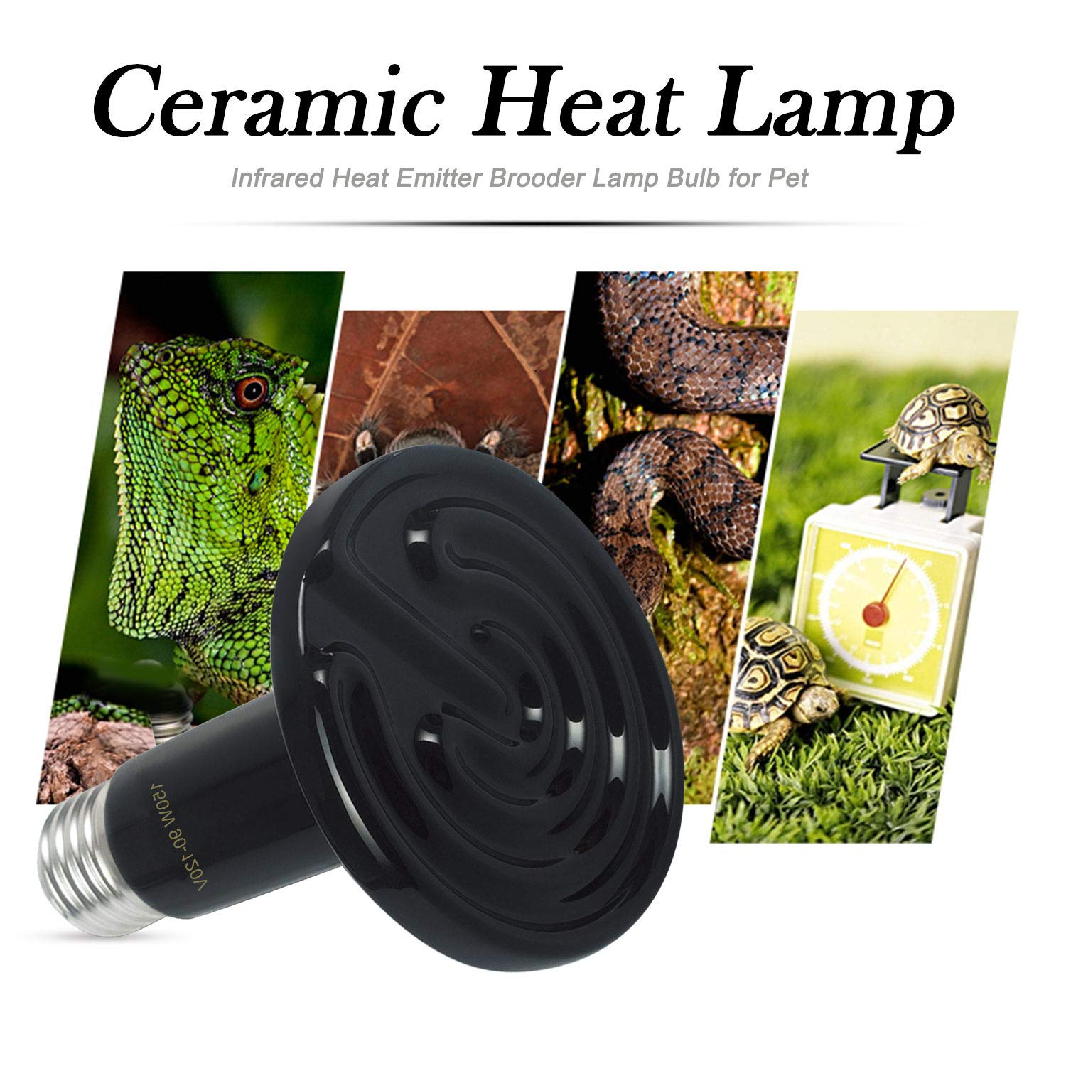 OMAYKEY 2-Pack 150W Ceramic Heat Lamp with 1-pcs Digital-Thermometer, Infrared Heat Emitter Bulbs for Reptiles, Amphibians, Chic