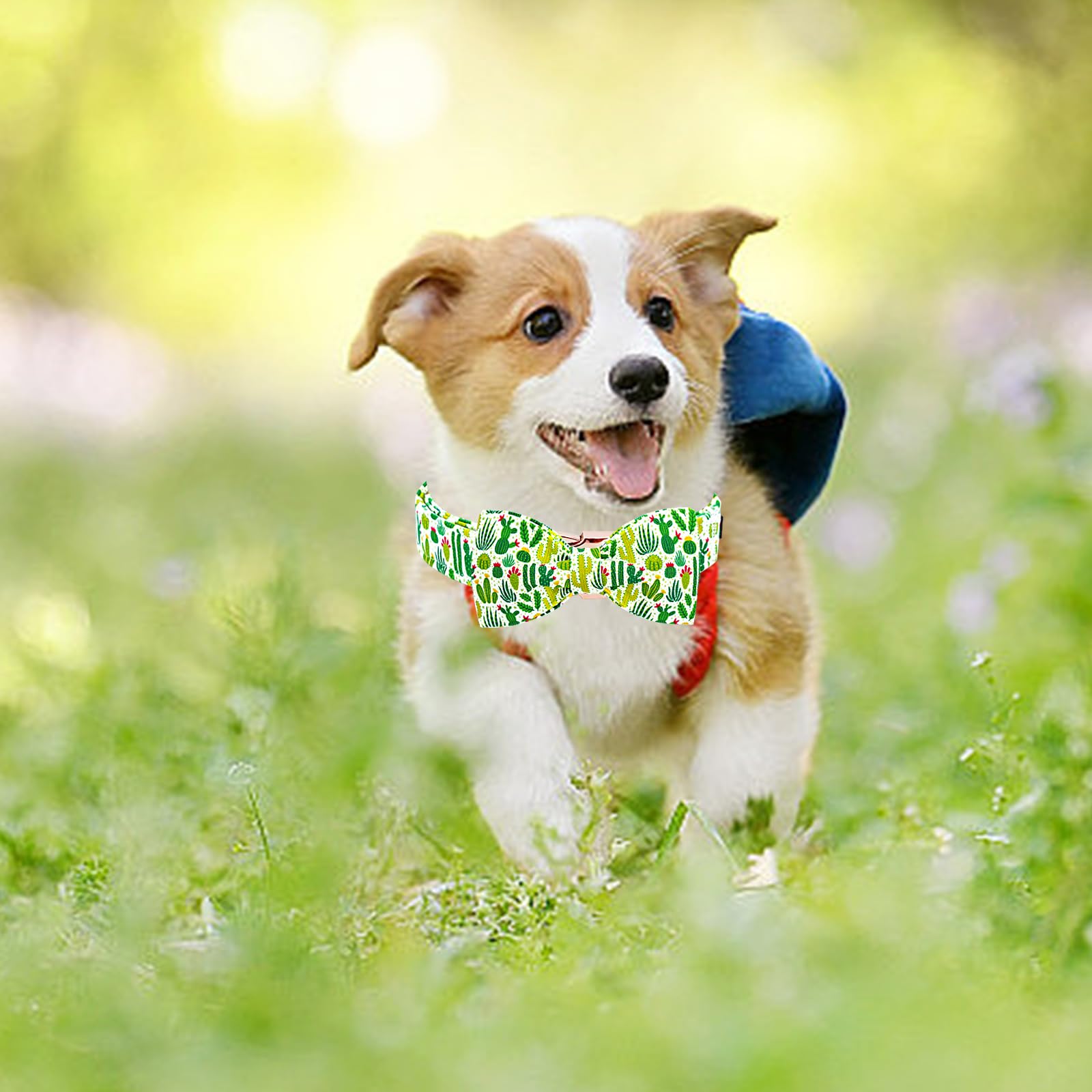Lionheart Glory Dog Bow Collar Green Cactus Print Collars For Large Dogs,Spring Summer Cute Dog Collar With Bowtie Pet Collars B