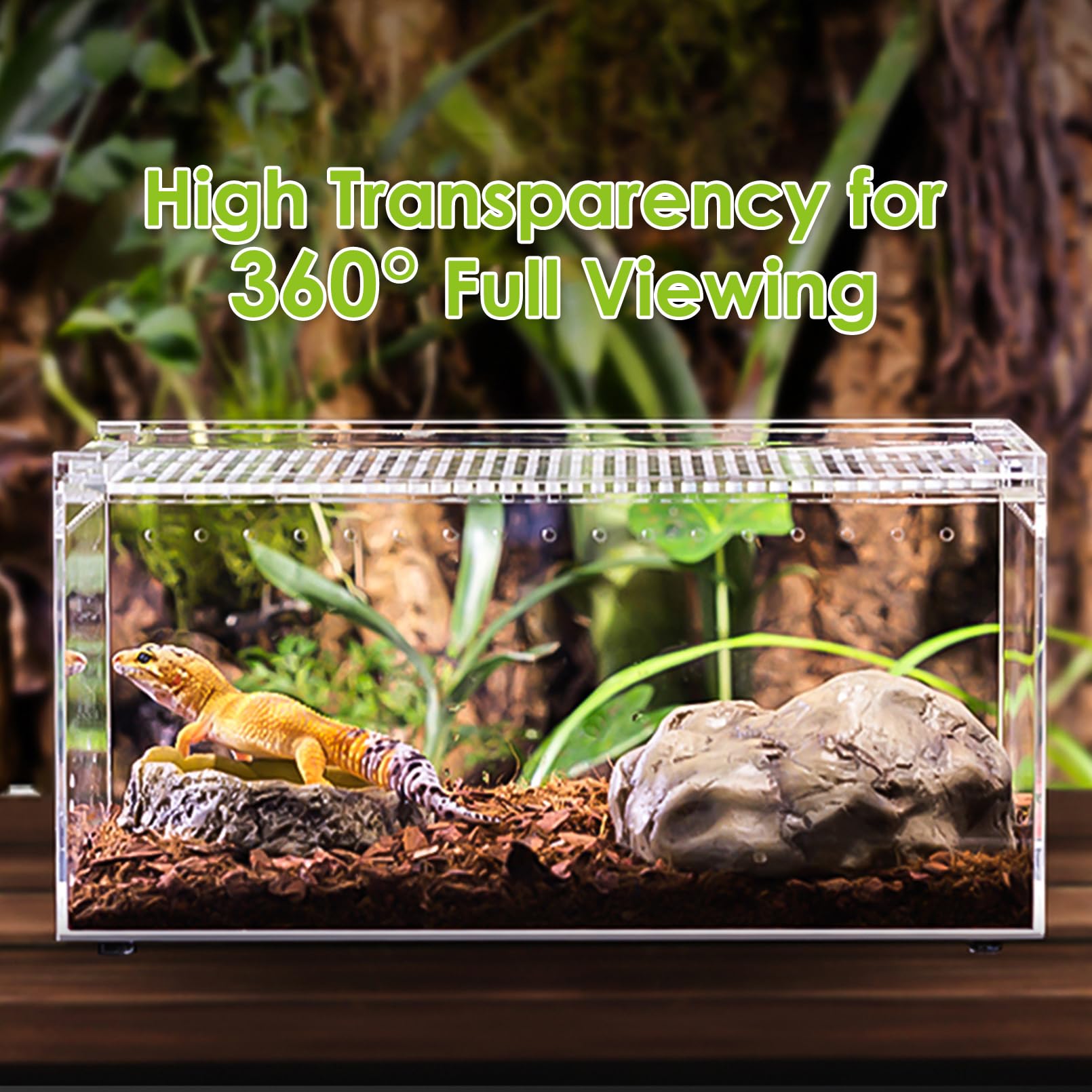 Apatal Reptile Terrarium Enclosure 8X6X4 Acrylic Tarantula Breeding Box Magnetic Hermit Crab Habitat Tank Transparent Jump