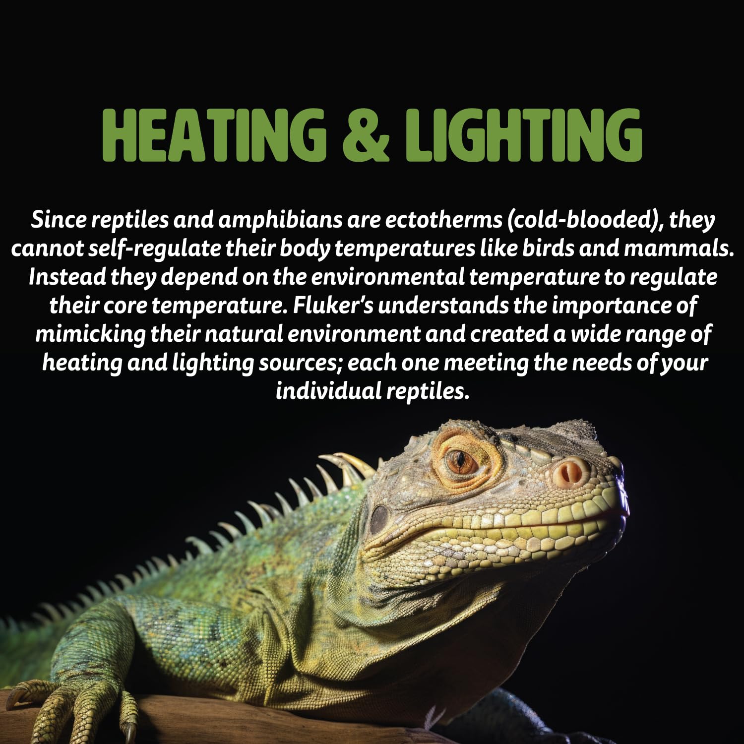 Fluker's Jumbo Heat Mat for Reptiles & Amphibians, 29"x11", 35W, Black, Model 29054