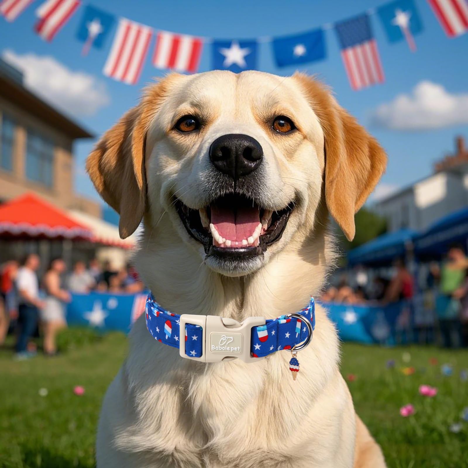 Babole Pet 4Th Of July Dog Collar, Summer Popsicle Patriotic Dog Collars For Small Dogs, Adjustable Lightweight Quick-Release Bu