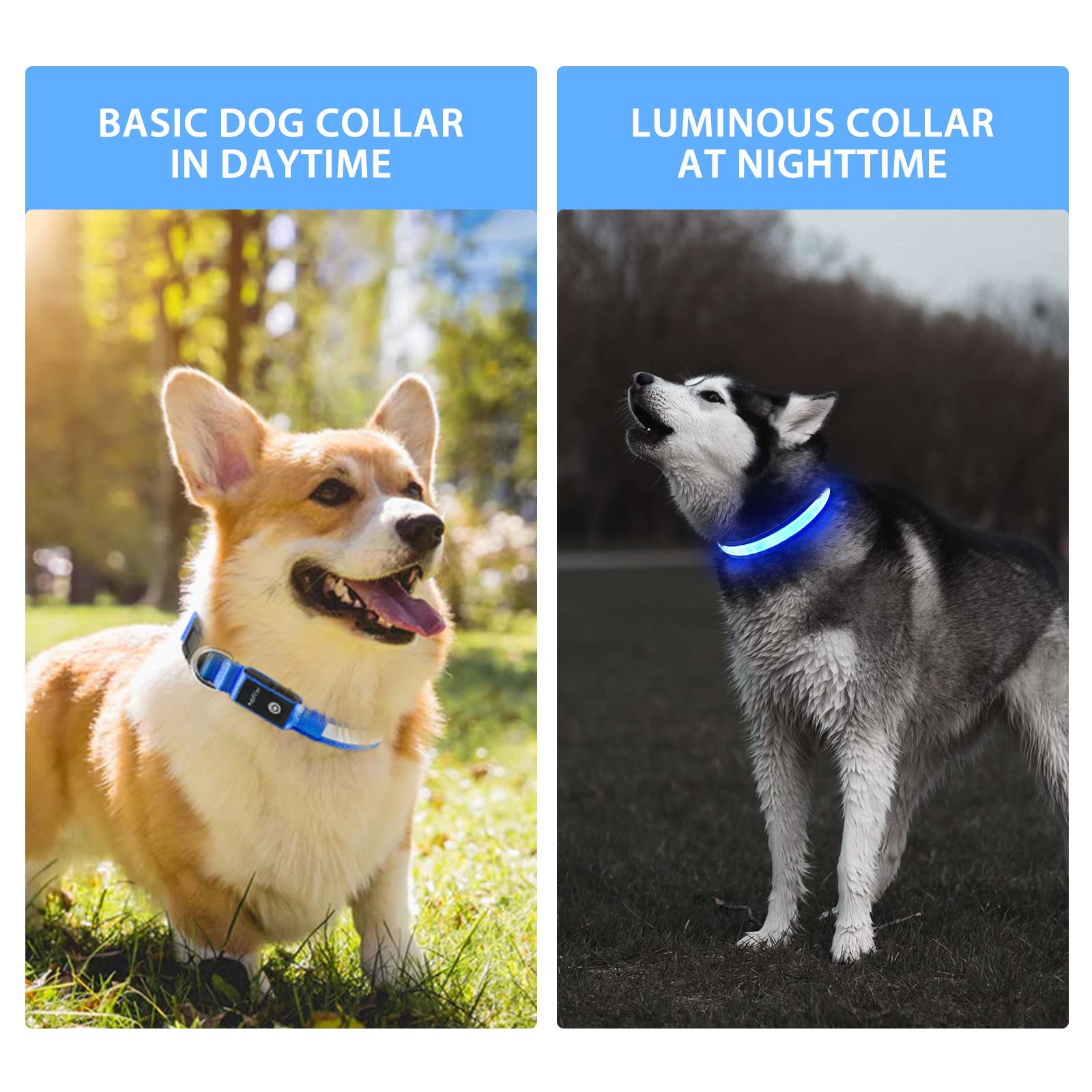 Pceotllar Light Up Dog Collar For Night Walking - Led Dog Collar Light Rechargeable Color Changing, Glow In The Dark Dog Collars