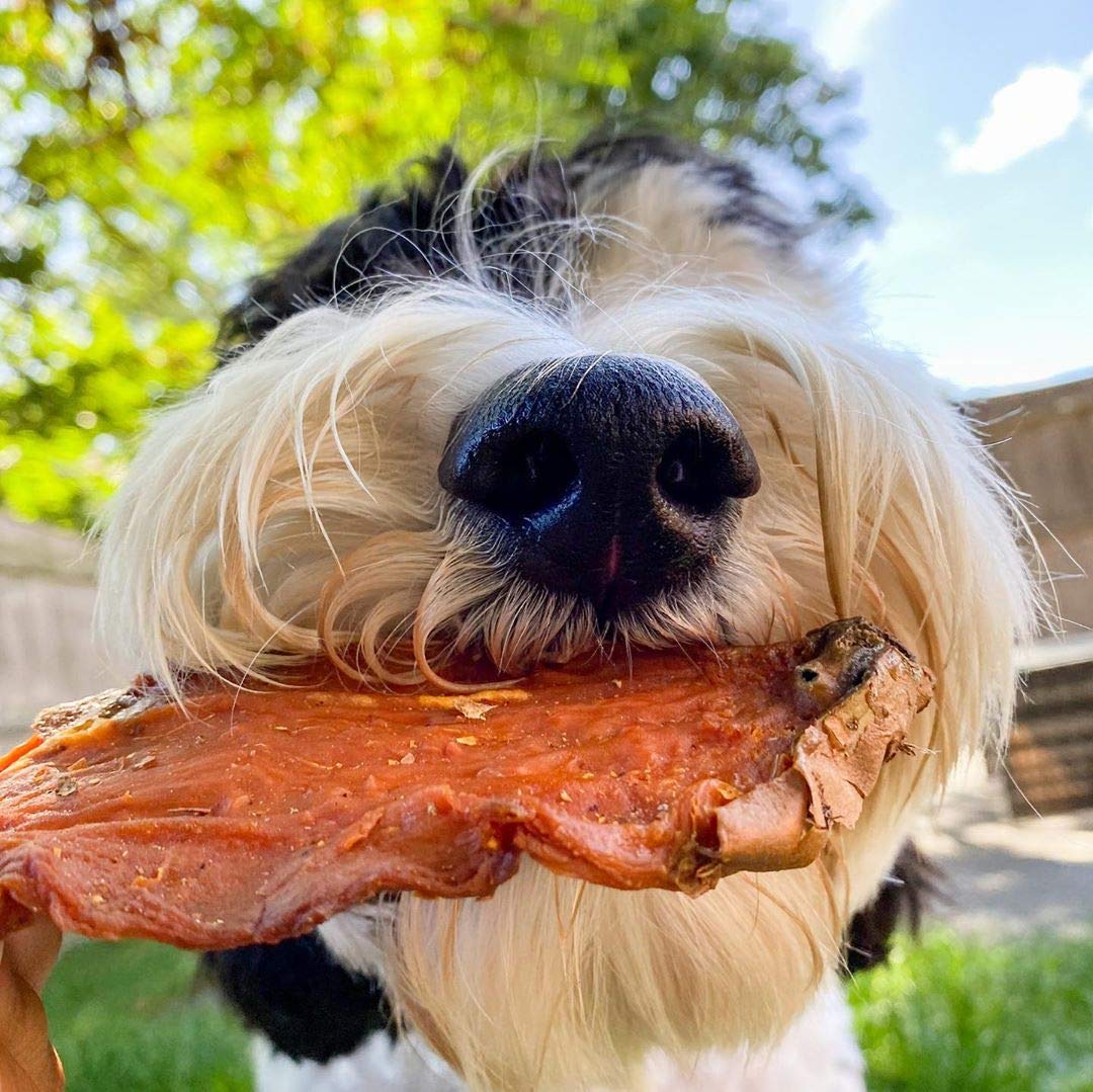BRUTUS & BARNABY Sweet Potato Dog Treats - Support Sensitive Stomachs with USA-Grown, Hypoallergenic Treats That Smell as Good a