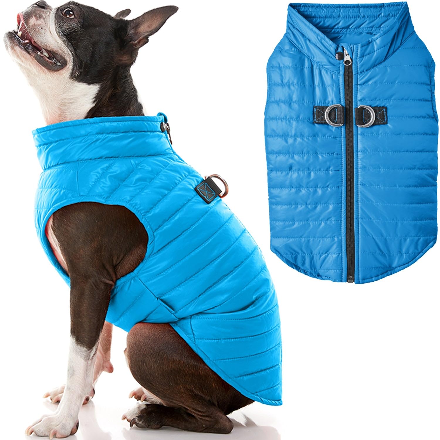 Gooby Puffer Vest Dog Jacket - Blue, Medium - Ultra Thin Zip Up Wind Breaker with Dual D Ring Leash - Water Resistant Small Dog 