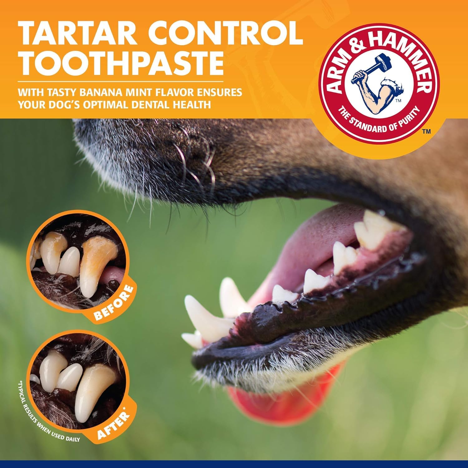 Arm & Hammer for Pets Tartar Control Kit for Dogs 3-Piece Kit Contains Toothpaste, Toothbrush & Fingerbrush Reduces Plaque & Tar