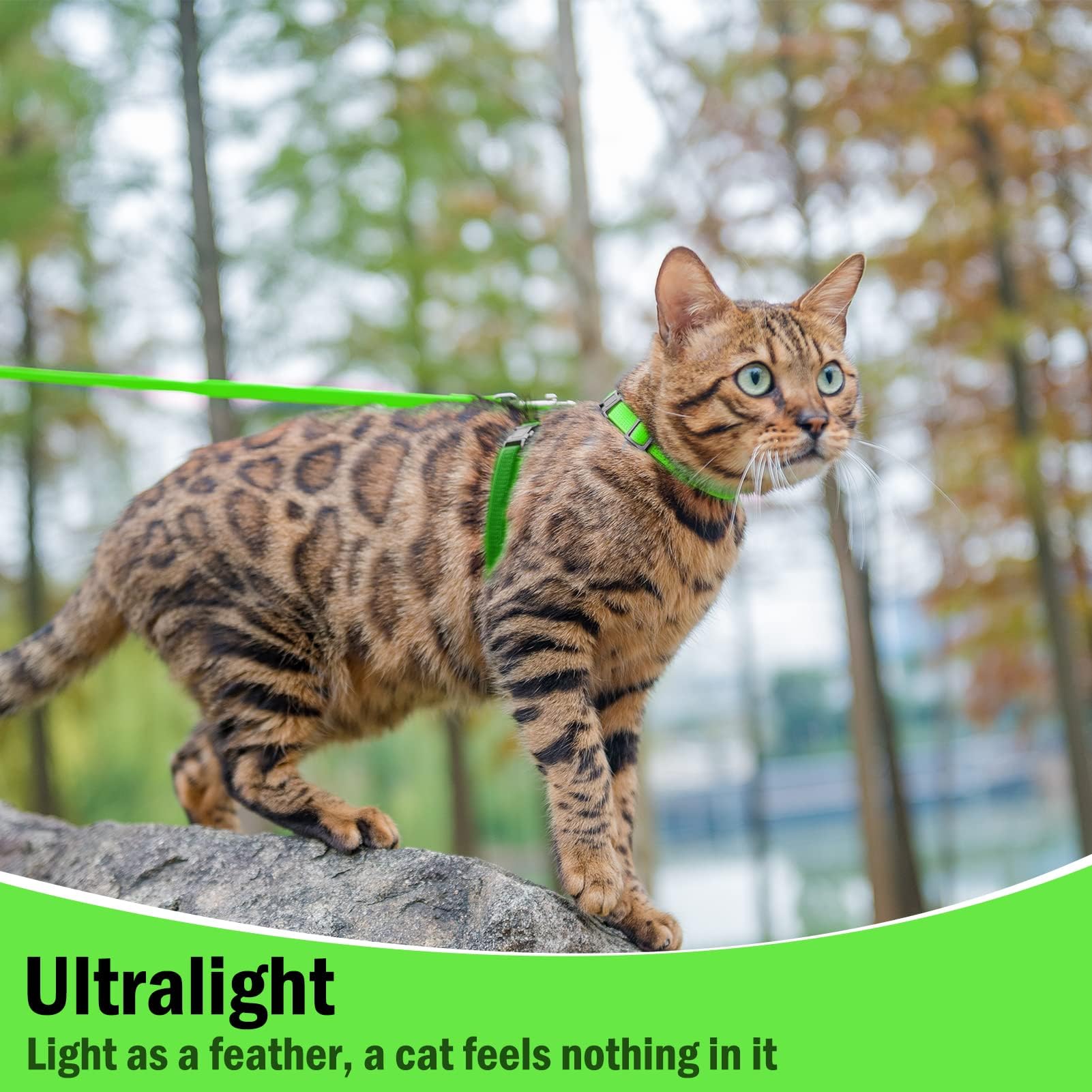 Pupteck Adjustable Cat Harness And Leash Set Escape Proof Kitten Strap Collar For Walking Travel, Green, M