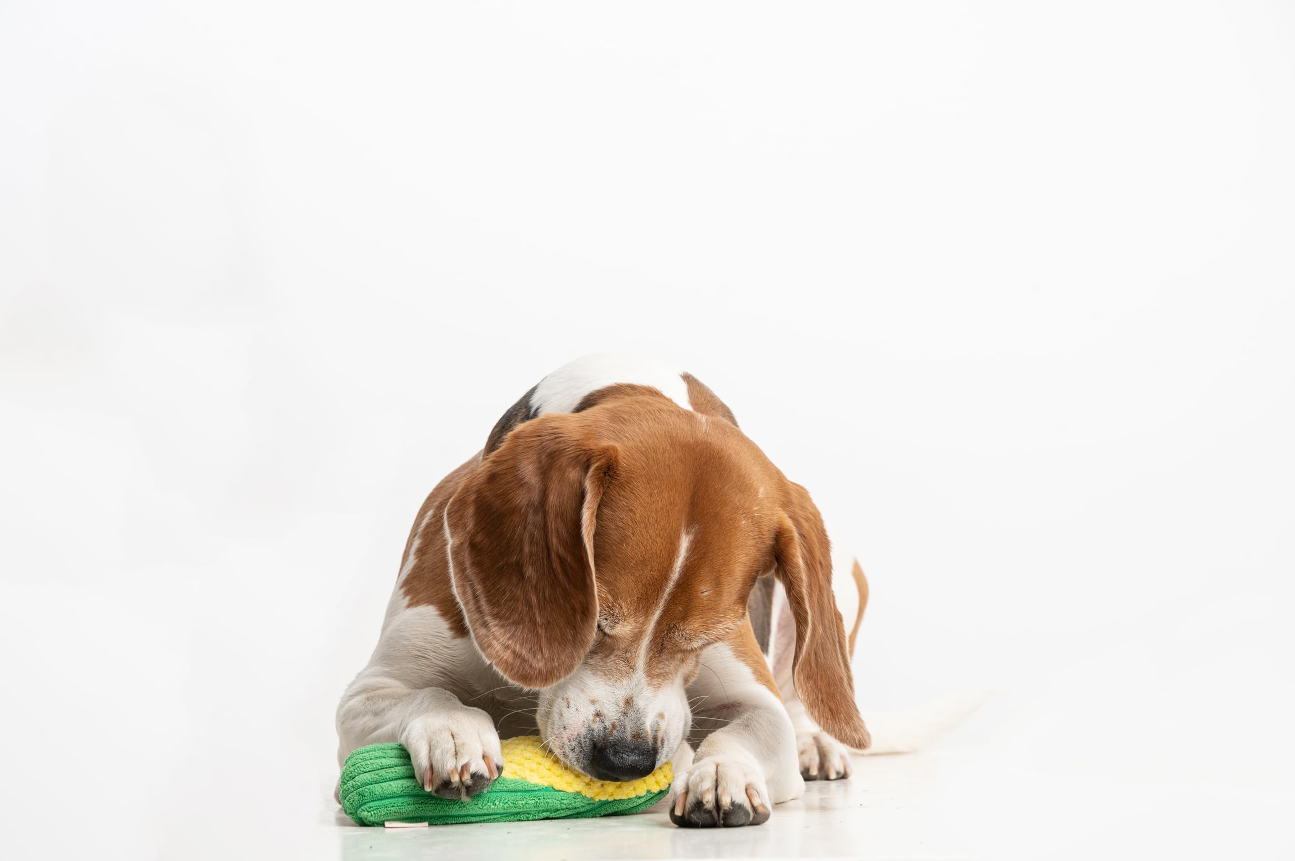 Puffy Crew Squeaky Dog Plush Toy, Bite_Stick Collection, 8'', For Small And Medium Dogs (Corn)