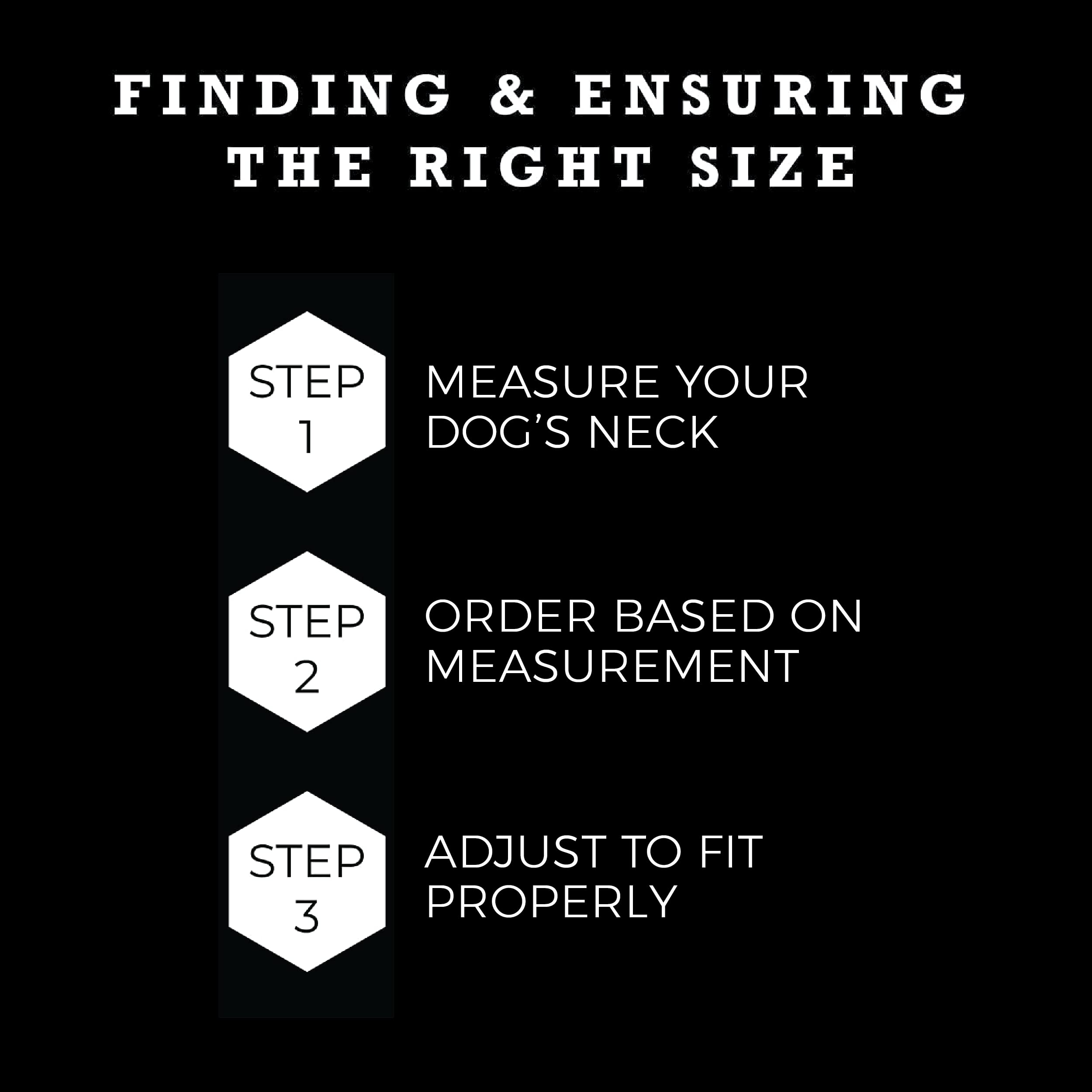 Wolfgang Heavy Duty, Adjustable Dog Collar With Quick Release Nylon Buckle For Walking & Training, Digitaldog Print, Small