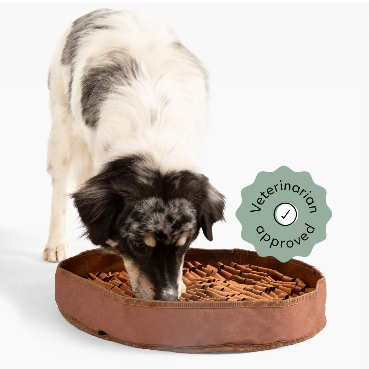 Reggie Stimulating Feeder Mat For Dogs | Relieve Speed Eating, Boredom, Stress | Vet-Approved & Ideal For All Ages, Dog Breeds, 