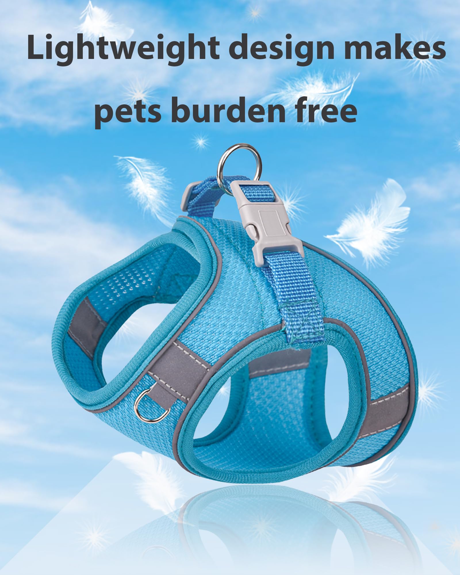Aecllcea Puppy Harness And Leash Set Training - Dog Vest Harness For Small Medium Dogs (Blue, M)