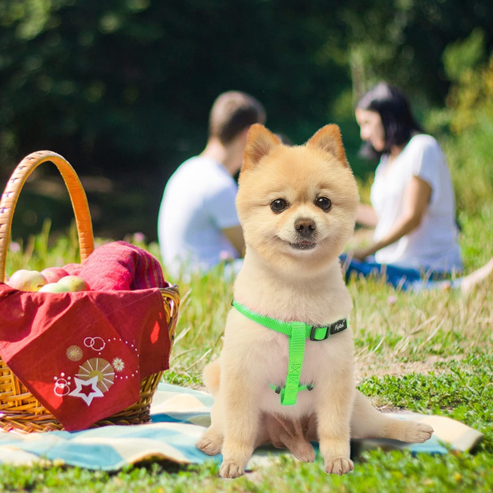 Pupteck No Pull Dog Harness Soft Adjustable Basic Nylon Step In Puppy Vest Outdoor Walking With Id Tag, Green,S