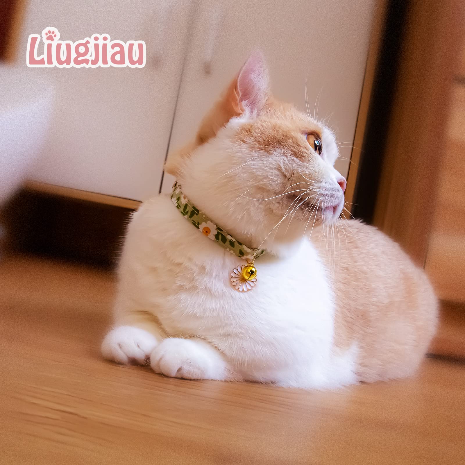 Liugjiau 2 Pack Cotton Breakaway Cat Collars With Bell,Green&Orange Daisy Pendant Cute Cat Collar Kitten Collar,Ideal For Girl C