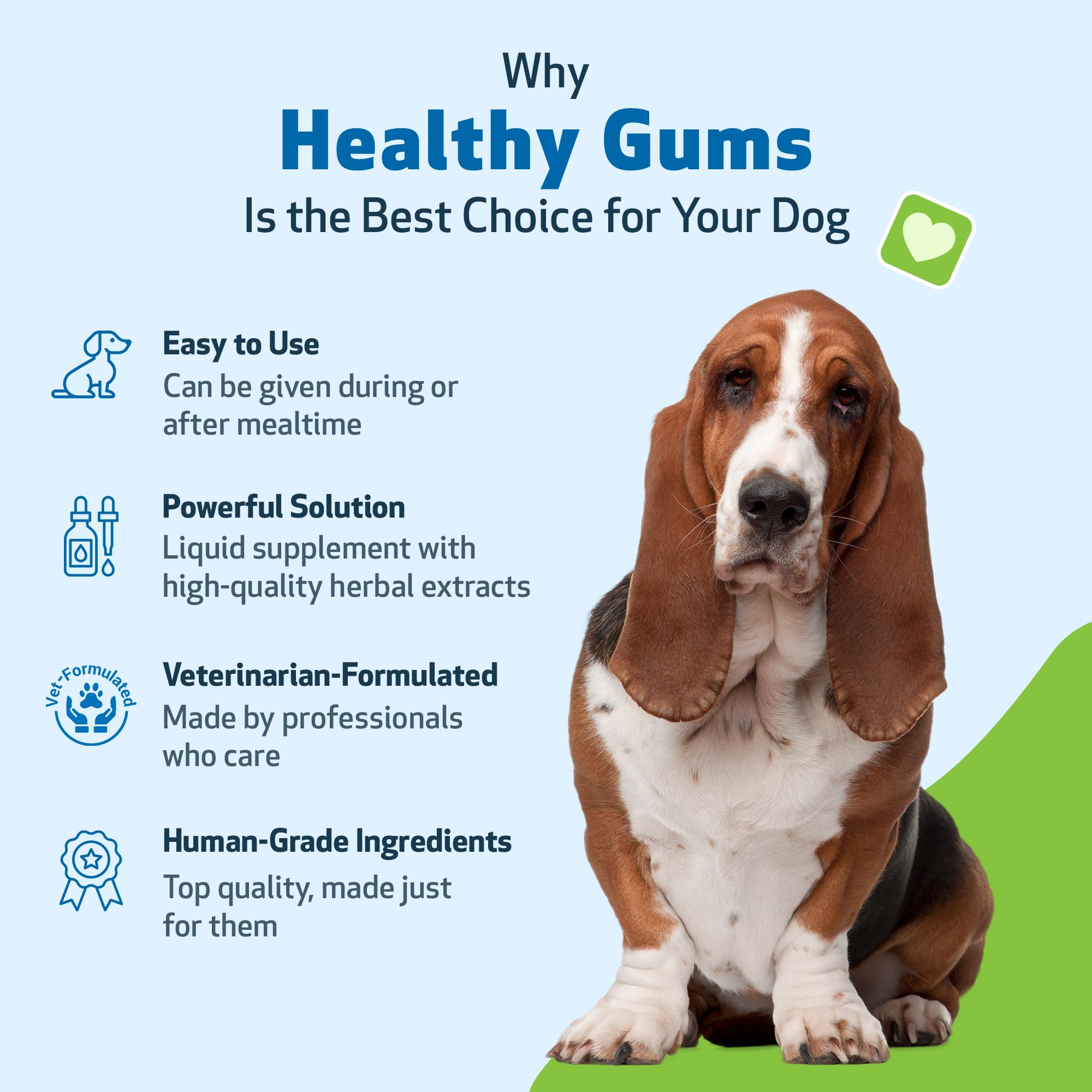 Pet Wellbeing Healthy Gums for Dogs - Gums & Dental Health, Oral Care, Healthy Breath, Coenzyme Q10, Zinc Oxide, Calendula, Mars