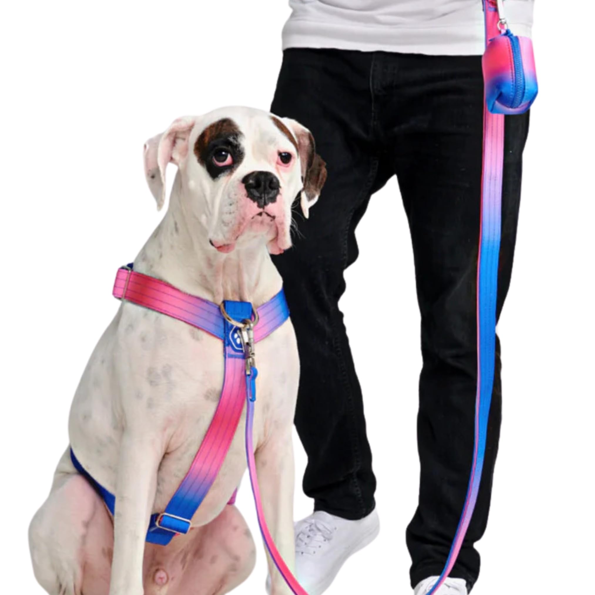 Spark Paws Large Dog No-Pull Harness, Halter Design With Front Clip, Durable And Heavy-Duty For Big And Strong Breeds - Snow Con
