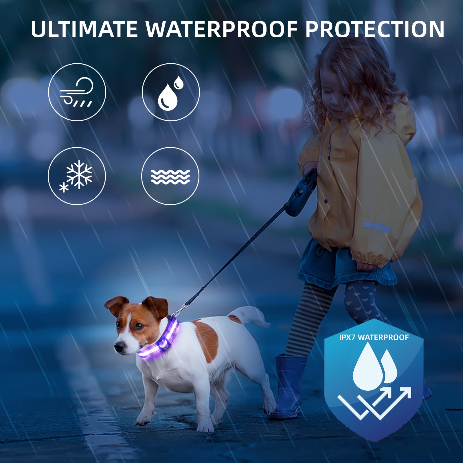 LED Dog Collar for Small Dogs Cats - Fully Waterproof & Adjustable Glow Collar - USB-C Rechargeable for Night Walking, Safety -