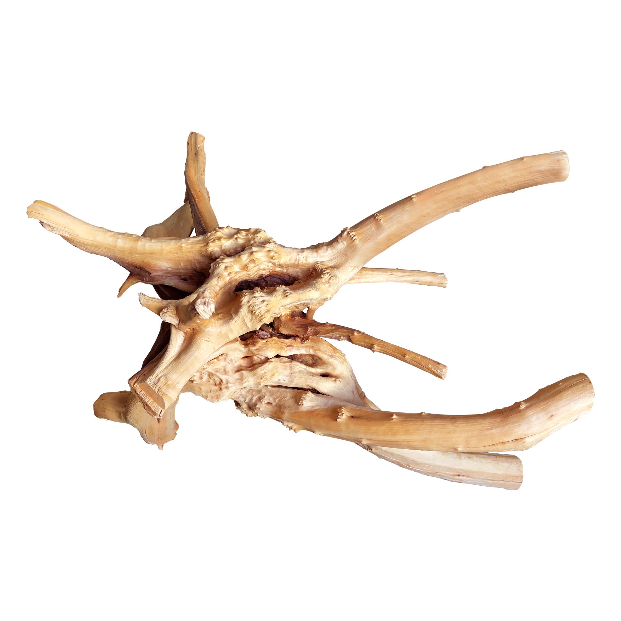 Majoywoo Natural Large Driftwood For Aquarium Decor Reptile Decor, Assorted Spider Wood Branch 13-17'' Long, Fish Tank Decoratio