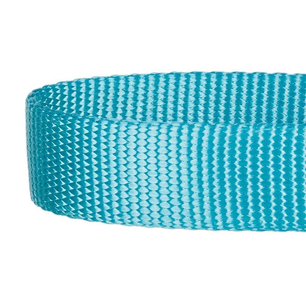 Blueberry Pet Essentials 21 Colors Durable Classic Dog Leash 5 Ft X 3/8', Turquoise, X-Small, Basic Nylon Leashes For Puppies