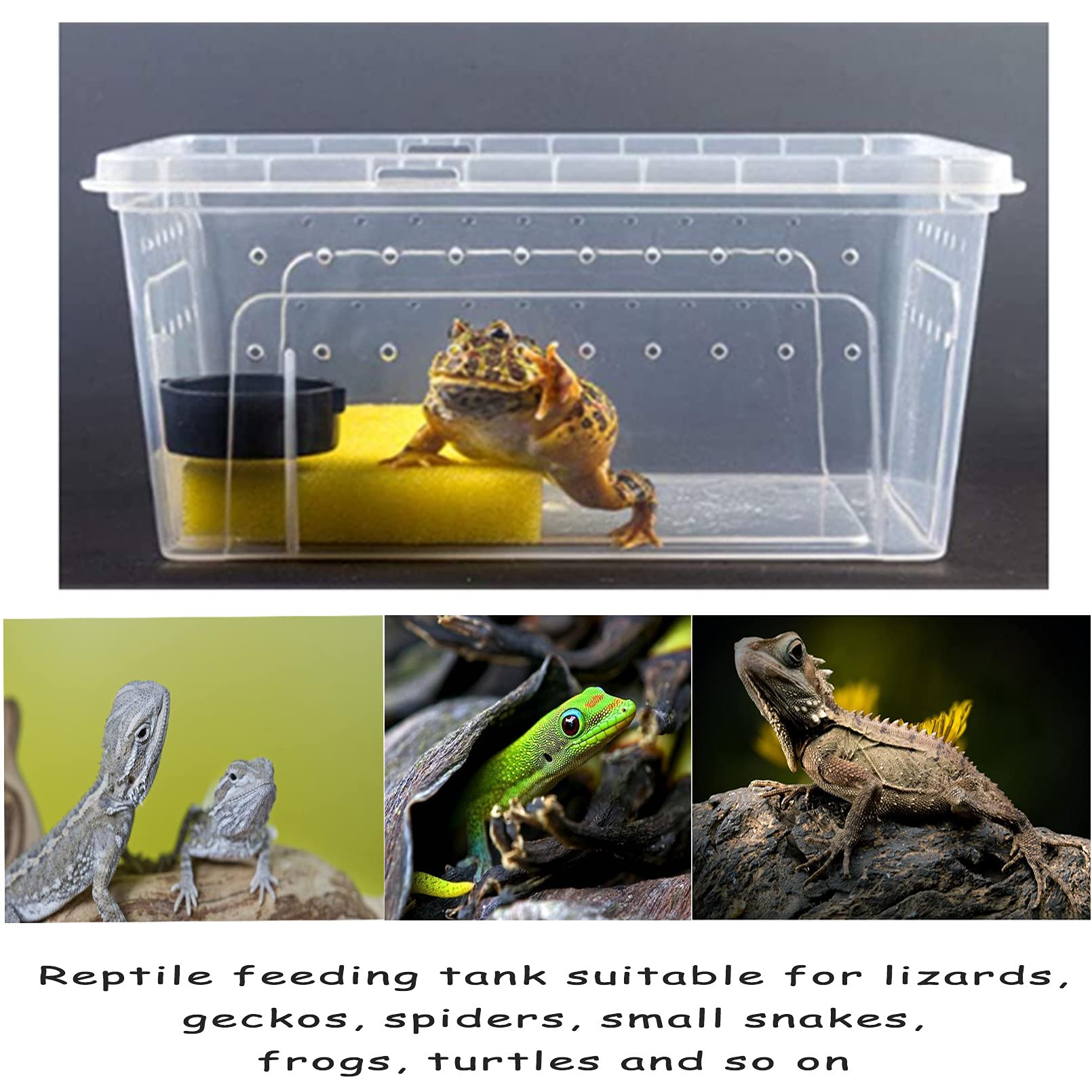 Hamiledyi 2Pcs Reptile Feeding Box Snake Breeding Box Transparent Animal Habitat Cage Portable Plastic Turtle Transport Container For Bearded Dragon Lizard Spider Frog Scorpion Gecko 12.6 X 8.6 X 5.9
