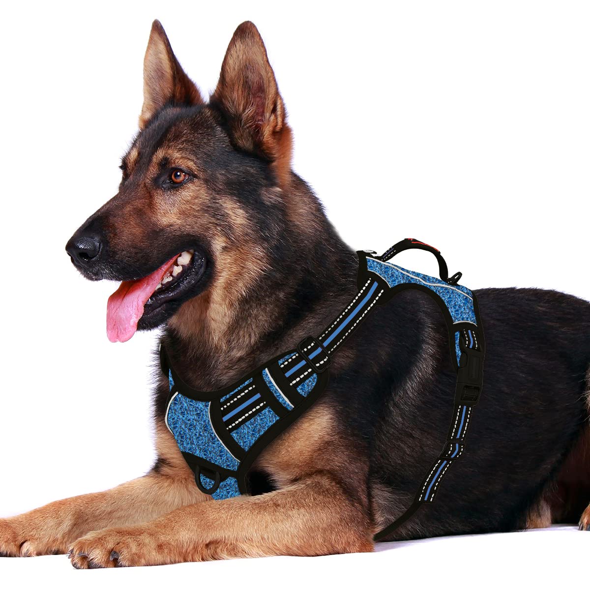BARKBAY No Pull Dog Harness Front Clip Heavy Duty Reflective Easy Control Handle for Large Dog Walking with ID tag Pocket(Blue/B