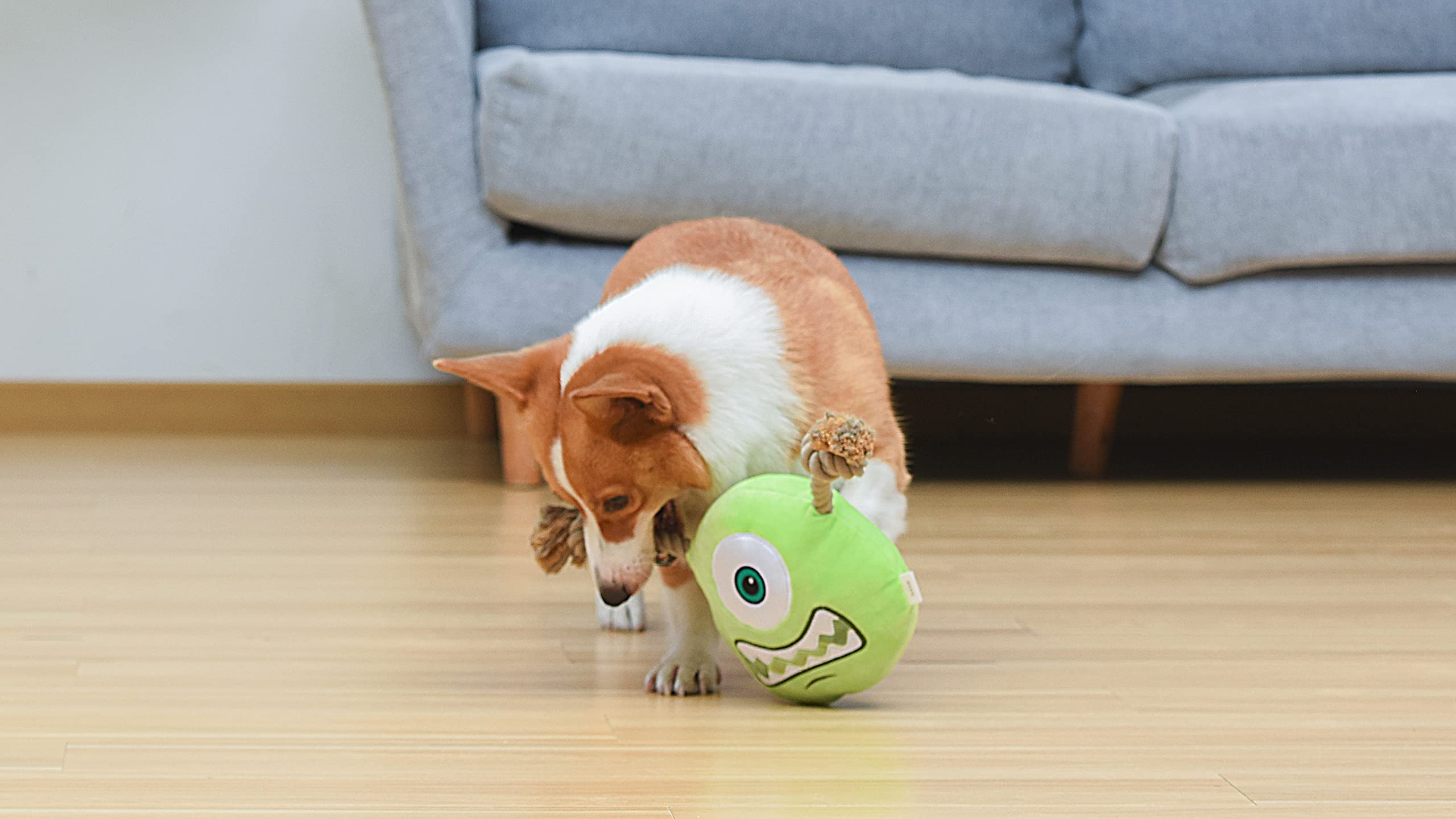 Disney For Pets Disney And Pixar'S Monsters, Inc. Mike 9'' Rope Head Toy For Dogs | Mike Dog Toy | Monsters Inc Movie Toys For A