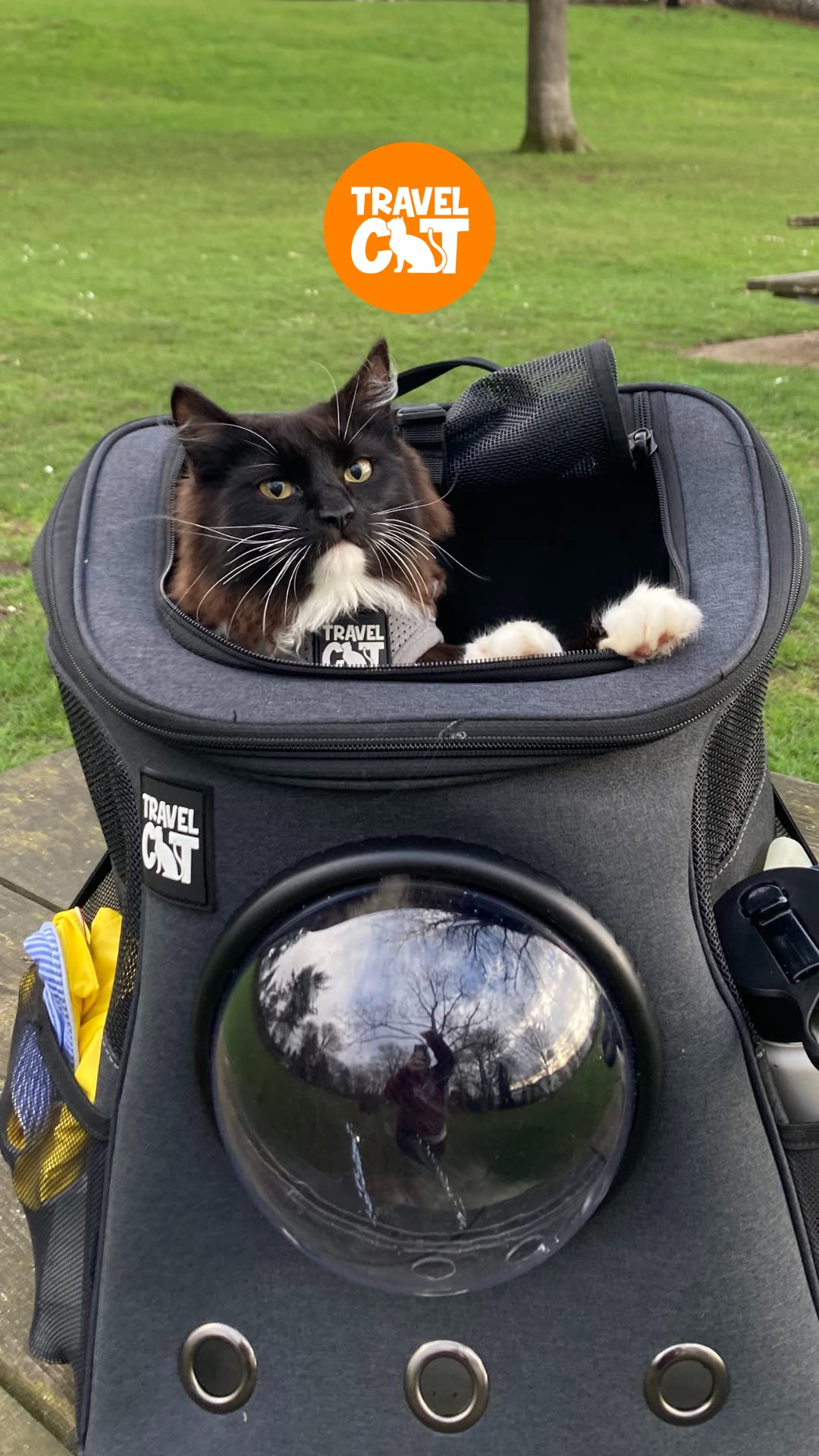 Fat Cat Backpack Carrier - Airline Approved Cat Carrier with Space Capsule Bubble for for Small Cats, Kitten - Premium Charcoal