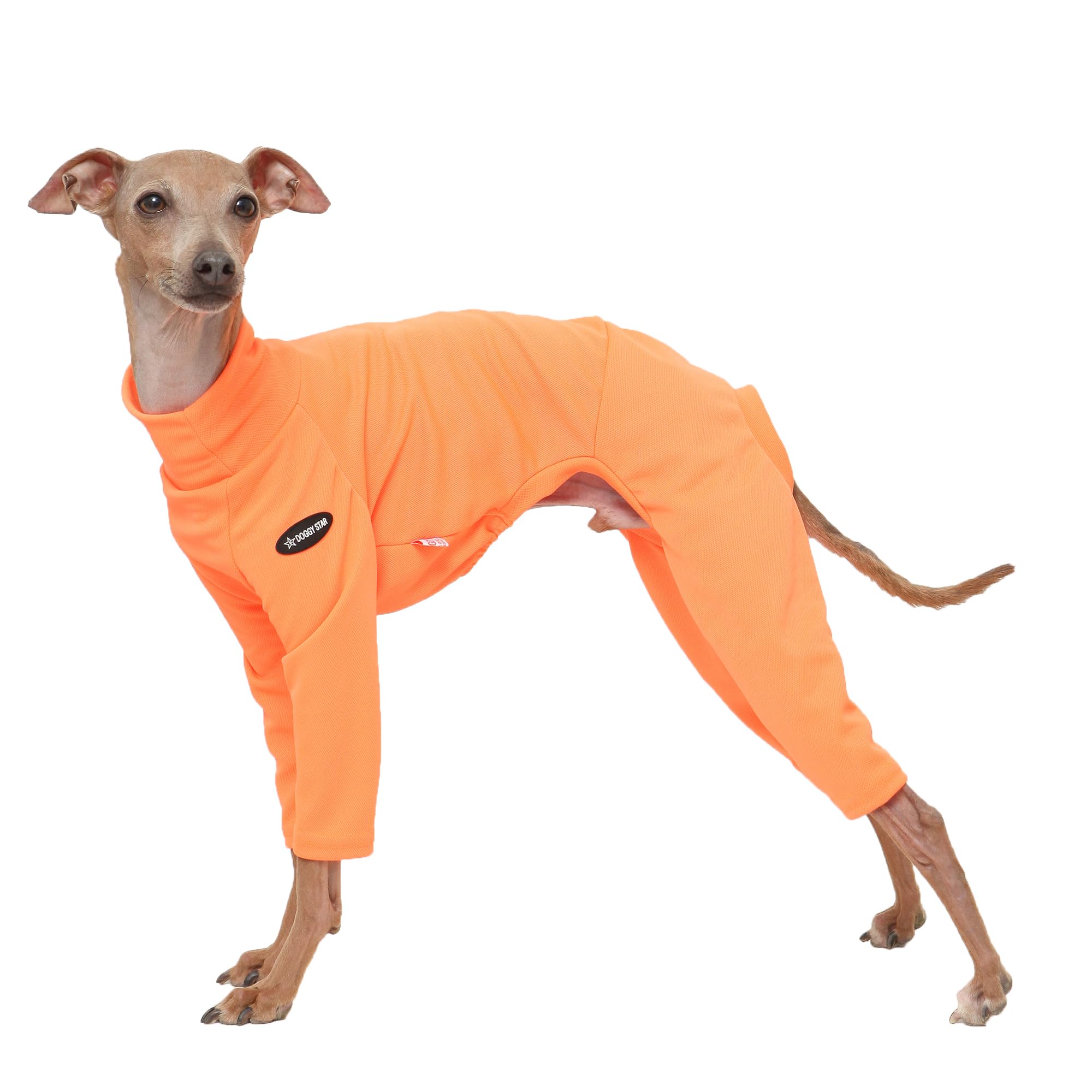 D Doggy Star Italian Greyhound Clothes Strechy Neon Onsie Spring Summer (S,Onsi Ne Orange)