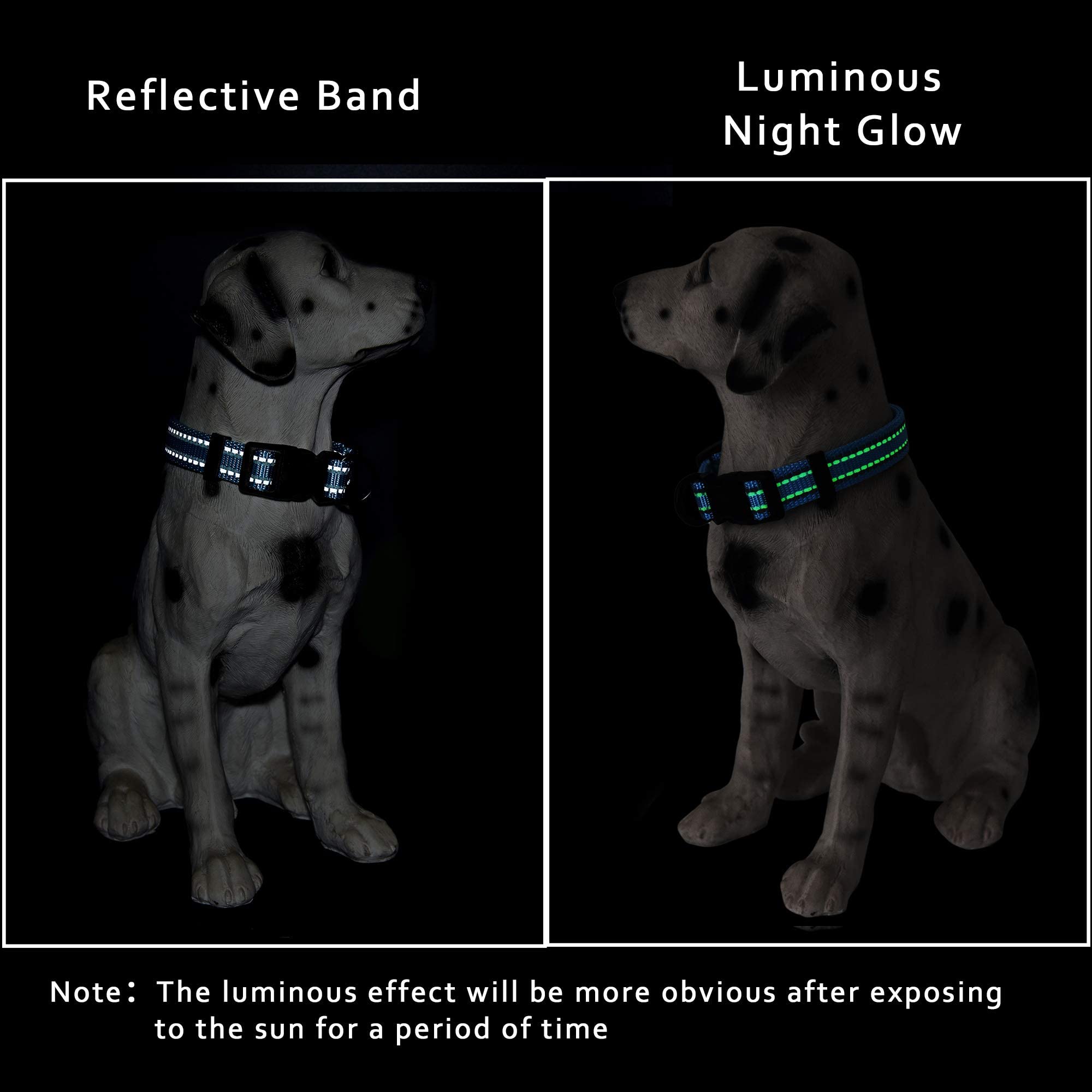 Mile High Life | Nylon Night Light Glow Collar For Medium Dogs | Reflective Band Cat Collar | Fluorescence Self-Luminescence Strap Puppy Collar | Safe Night Walk Collars For Dogs (Blue, M)