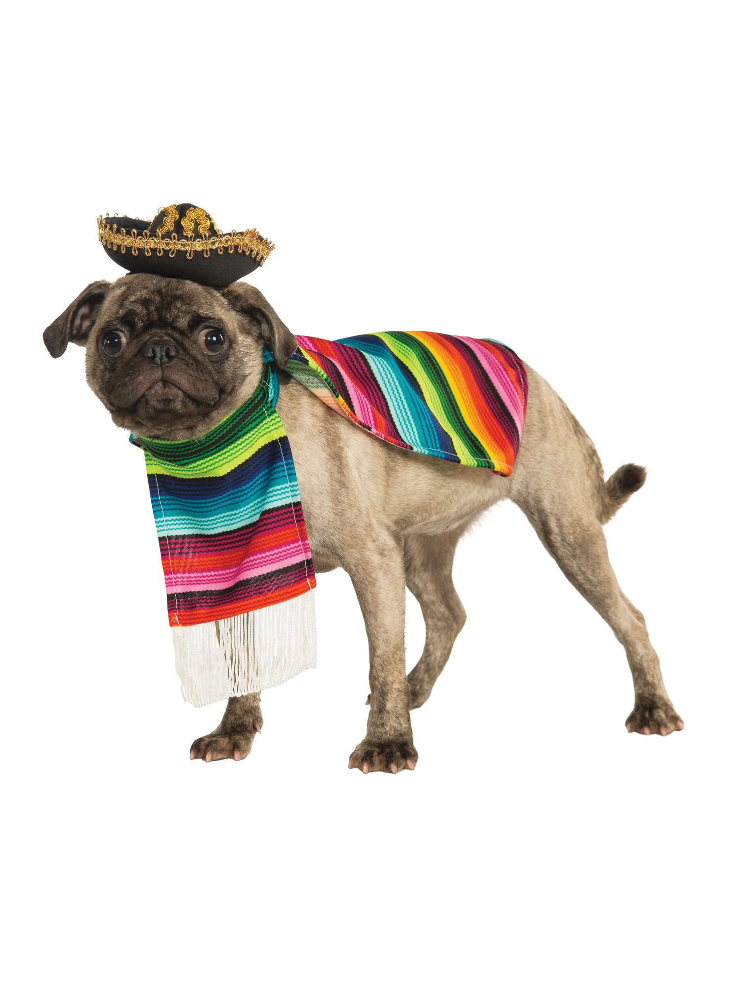 Rubie'S Serape And Hat For Pets, Large