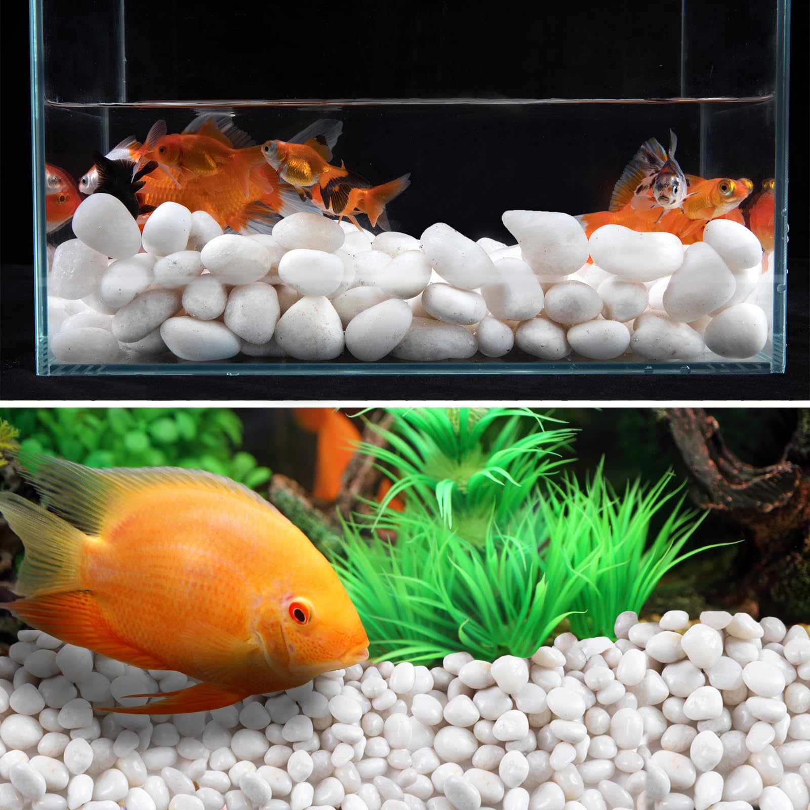 Lechloris 20lb White River Rock- High Polished Pebbles for Indoor Plants- Decorative Stones for Aquarium Fish Tank - White Rocks