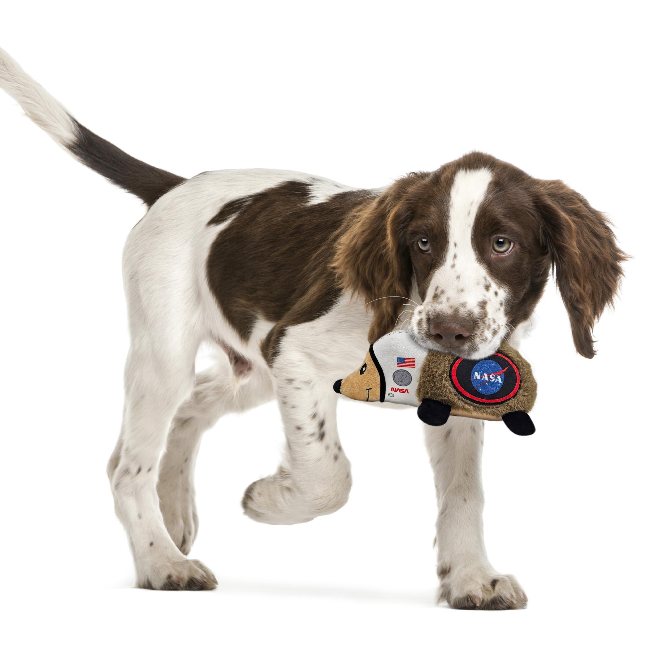 Nasa Plush Hedgehog Toy For Dogs & Cats, Cool Soft Pet Toy For Fun And Interactive Play, Dog Chew Toy With Squeaker