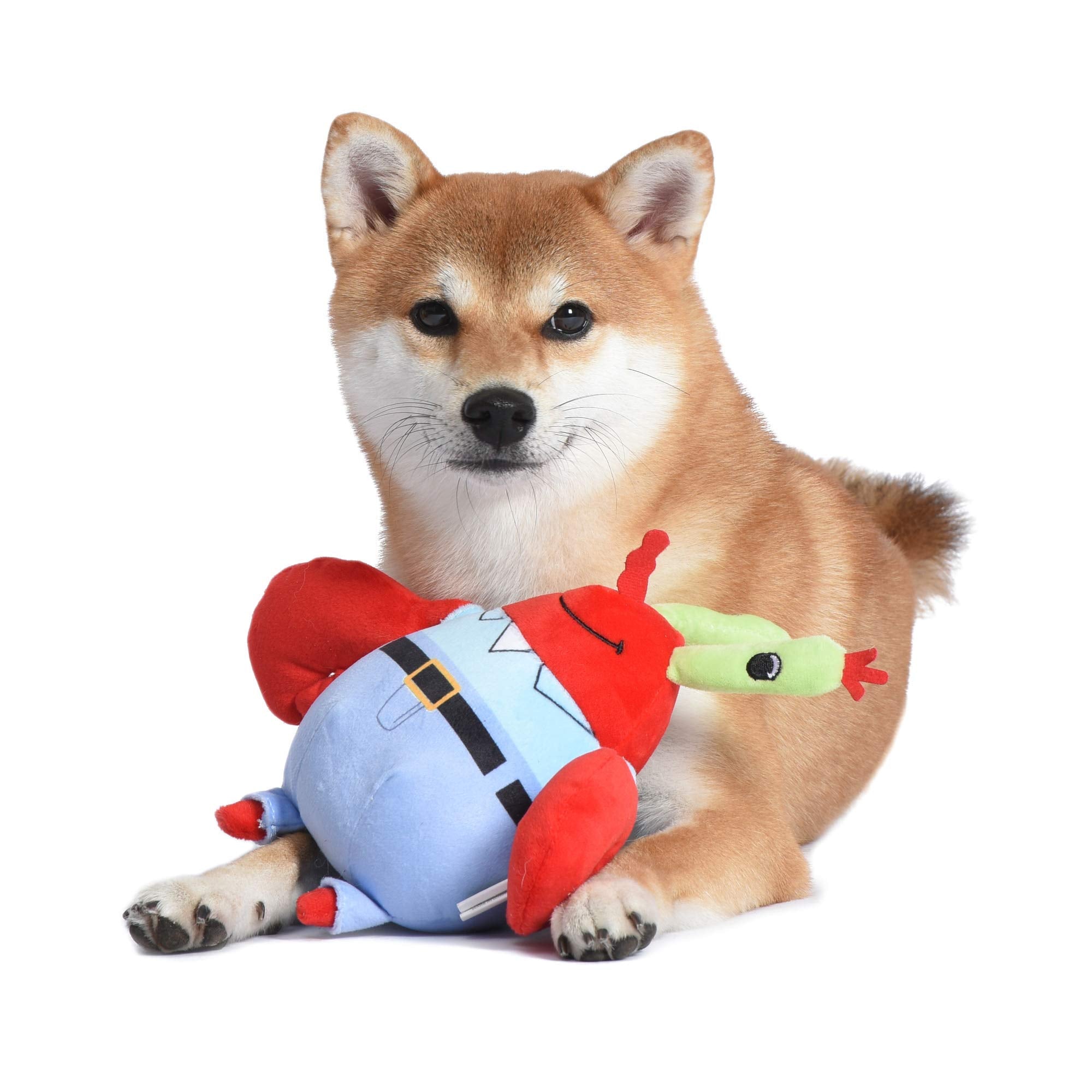 SpongeBob SquarePants for Pets Mr. Krabs Figure Plush Dog Toy | 6 Inch Small Dog Toy for SpongeBob Fans | Crab Squeaky Dog Toy f