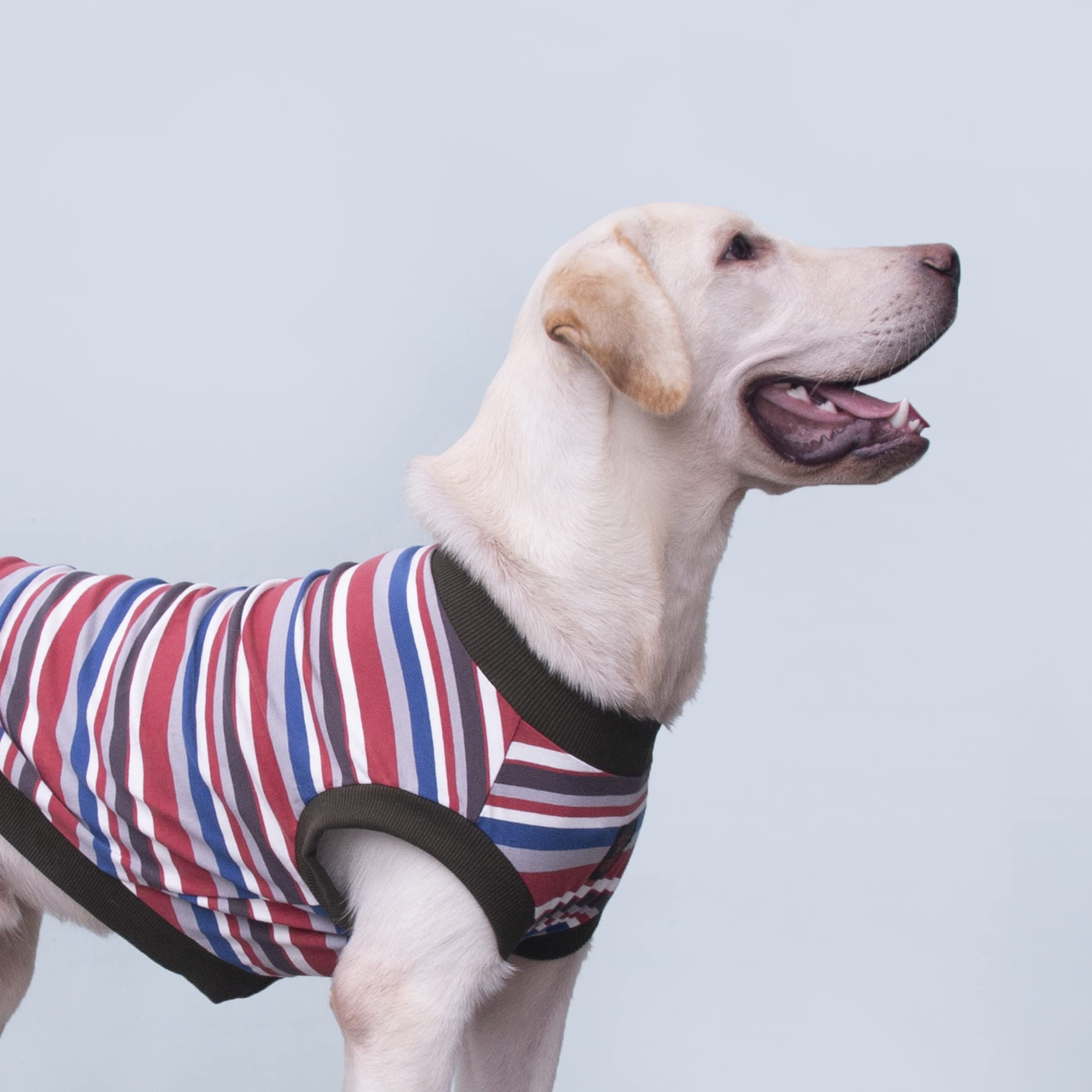 Arunners Extra Large Dog T Shirts Clothes Sleeveless Tank Top Vest For Labrador Rottweiler Great Dane, Red, 9X-Large