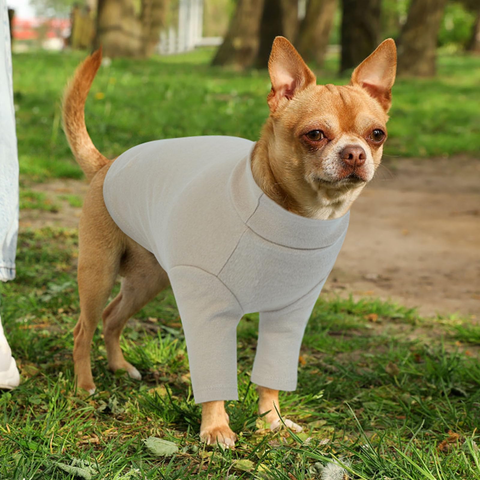 2 Pack Xs Letsqk Breathable Long-Sleeve Solid Dog Tee For Extra Small Dogs, Skin-Friendly Dog T-Shirt, Ideal Chihuahua Apparel,