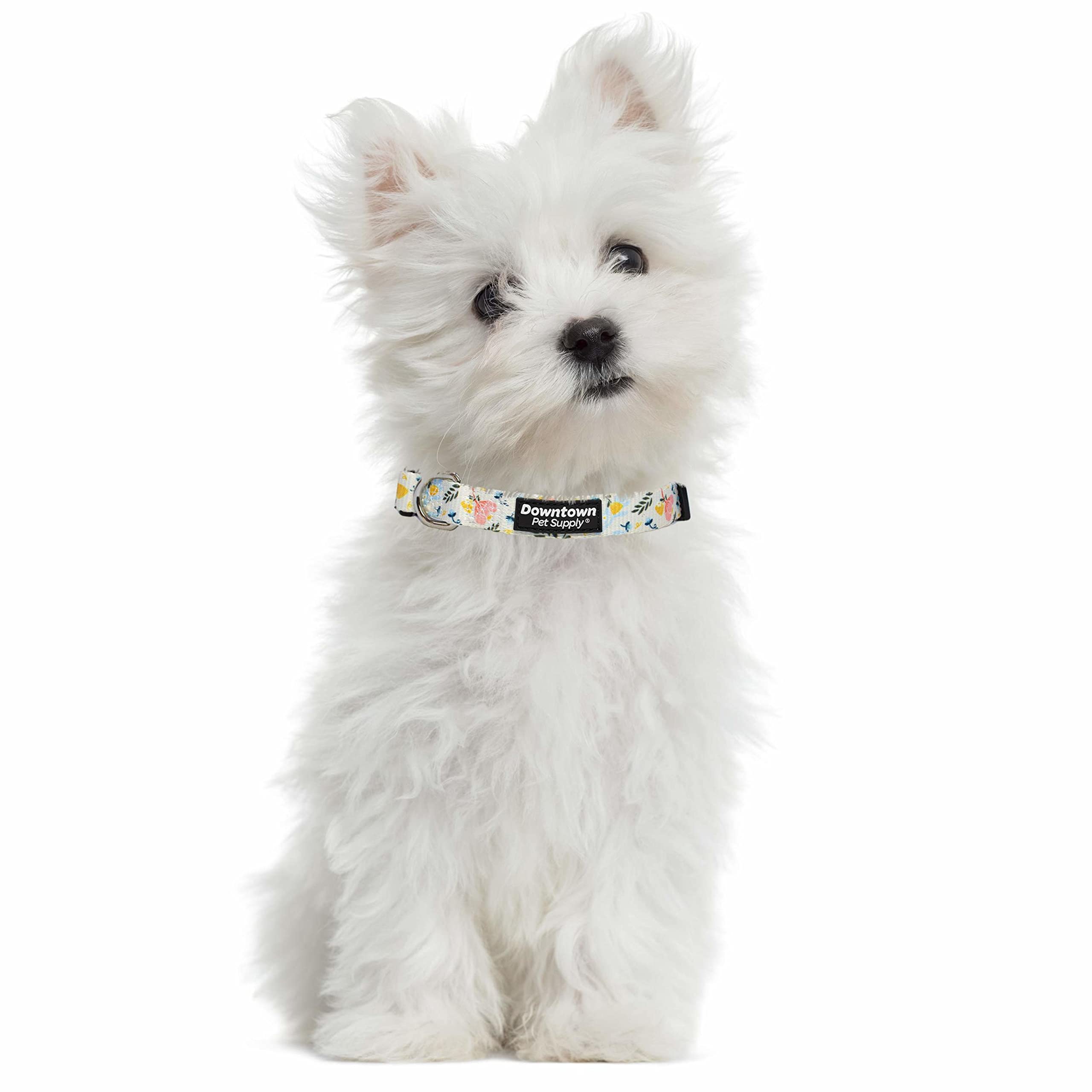 Downtown Pet Supply - Best & Fancy Dog Collar - Lightweight Adjustable With Quick Buckle & D-Ring - Hand Wash Safe - Floral - Me