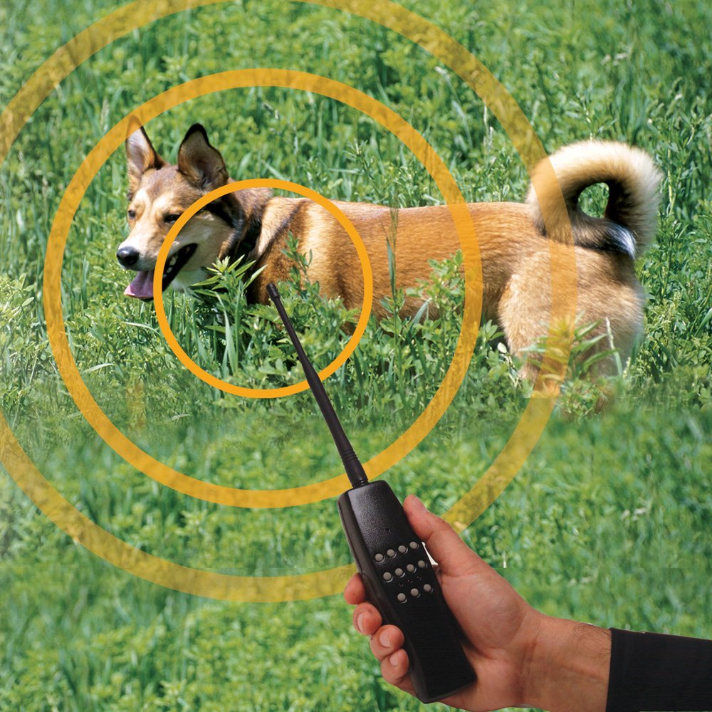 High Tech Pet Extra Collar Rtc-1 For Express Train Remote Radio Dog Training System
