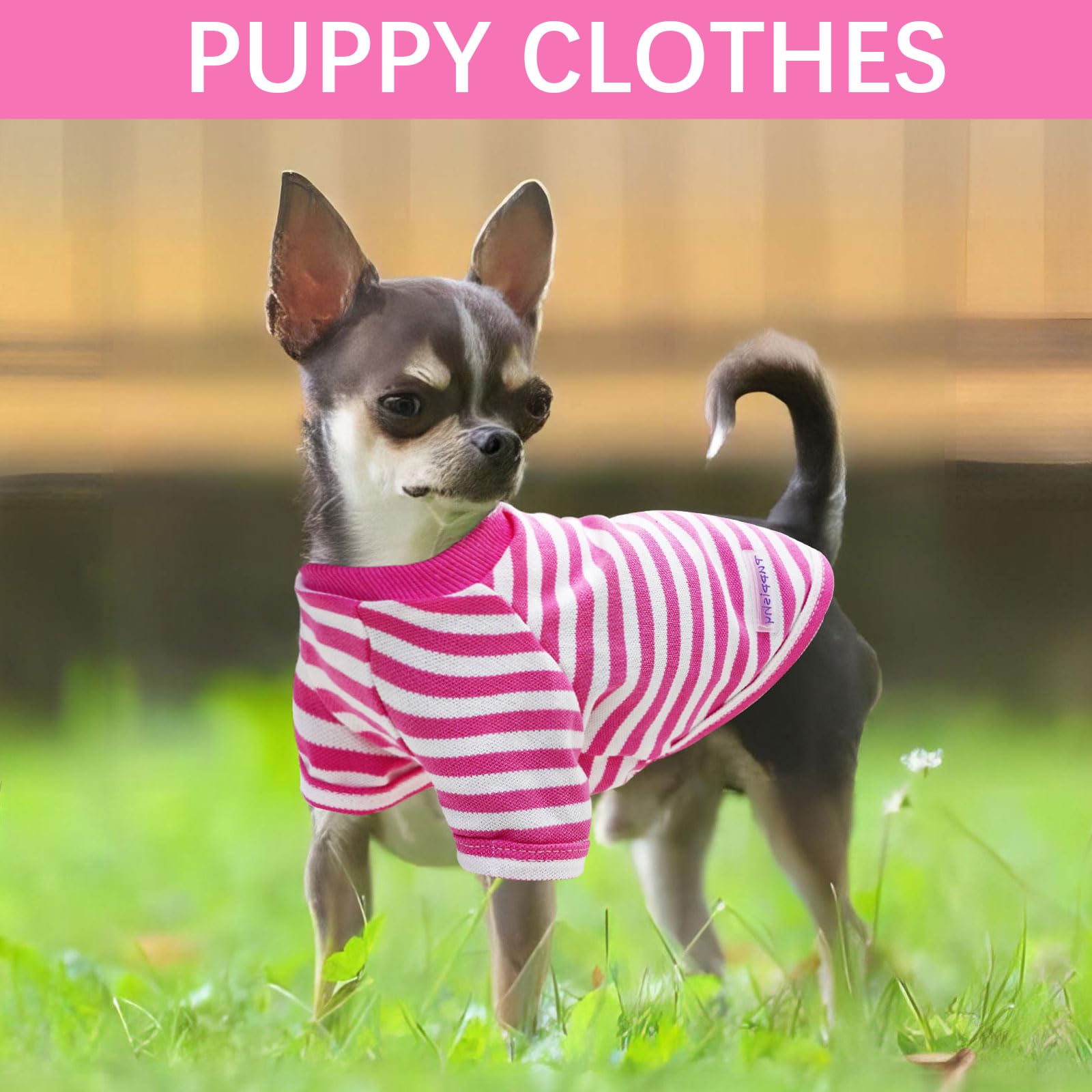 2 Pieces Dog Clothes For Small Dogs Summer Dog Clothes Medium Sized Dog Cute Soft Puppy Clothes Bresthable Chihuahua Cat Clothes