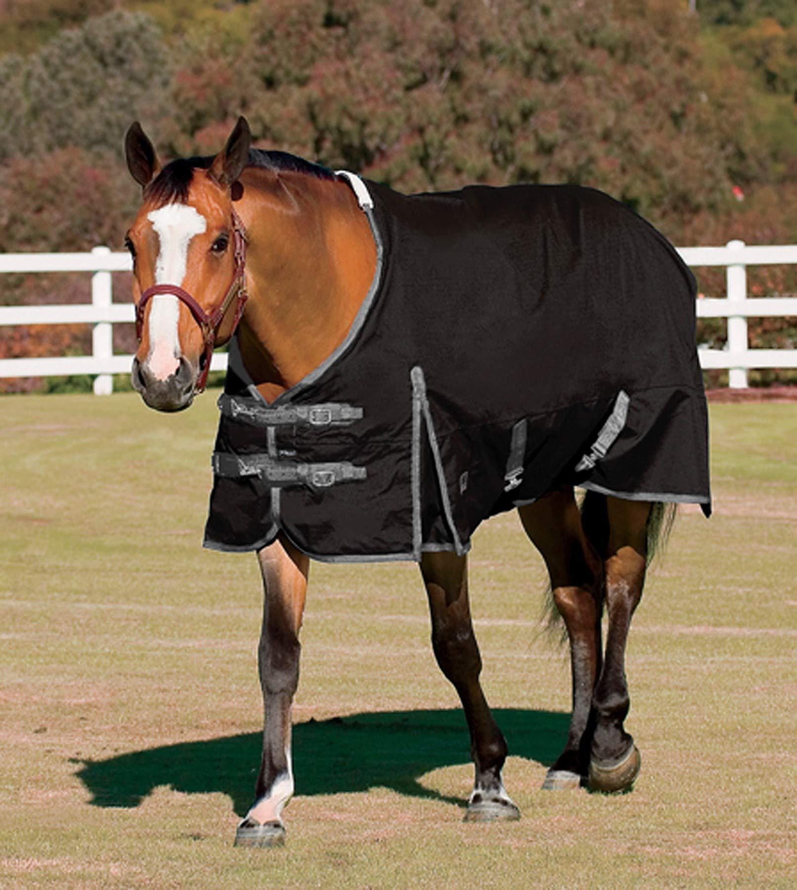 Rider'S International Supreme Turnout Sheet, Color: Black/Grey, Size: 74