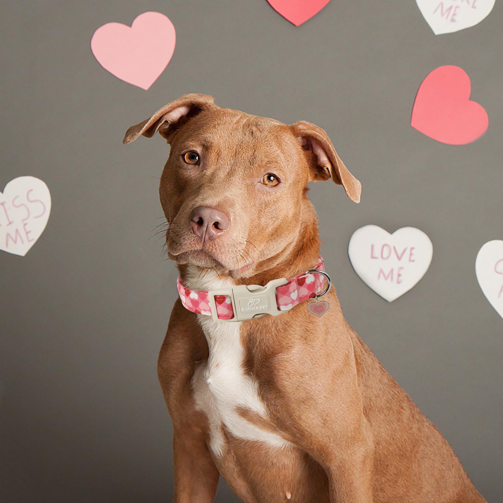 Babole Pet Valentines Dog Collar for Medium Dogs - Design Cute Pink Valentine Dog Collars Boy Girl Puppy Adjustable Quick Releas