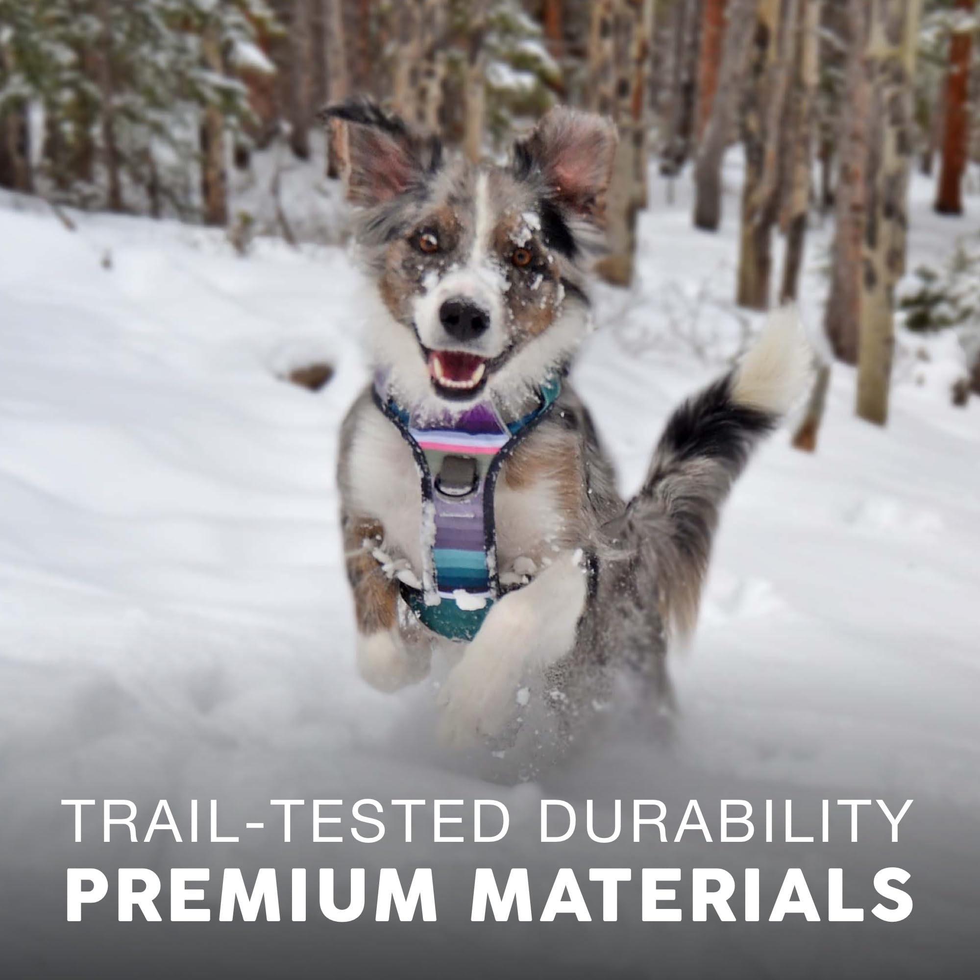 Embark Adventure Dog Harness, Reflective Trim No Pull Harness For Large Dogs - Military Grade Nylon, Front Clip With Gel Lined H